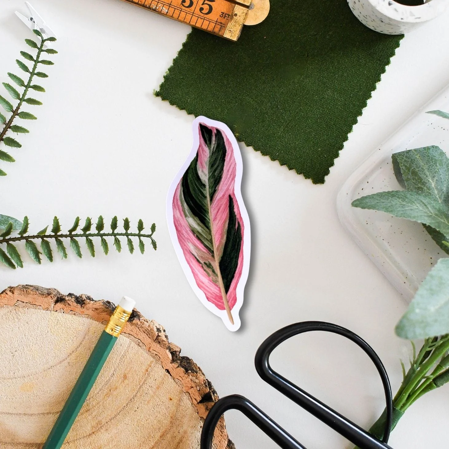 Calathea ‘Triostar’ Tropical Houseplant Vinyl Sticker [Beneath the Canopy RHS Collab] - Image 2