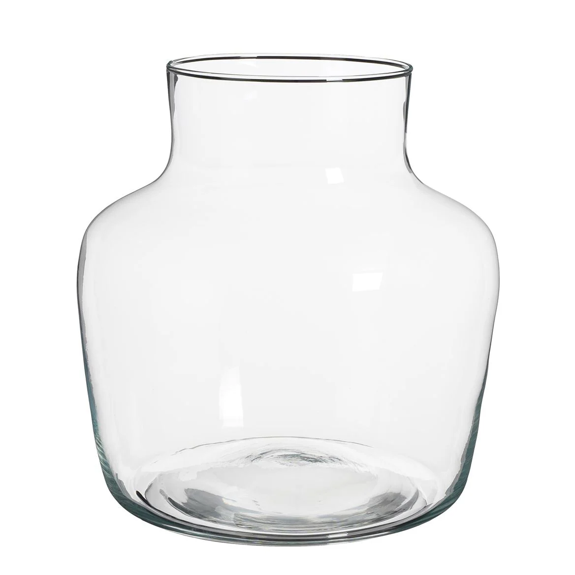 Camille Glass Vessel / Vase [Terrarium Supplies]