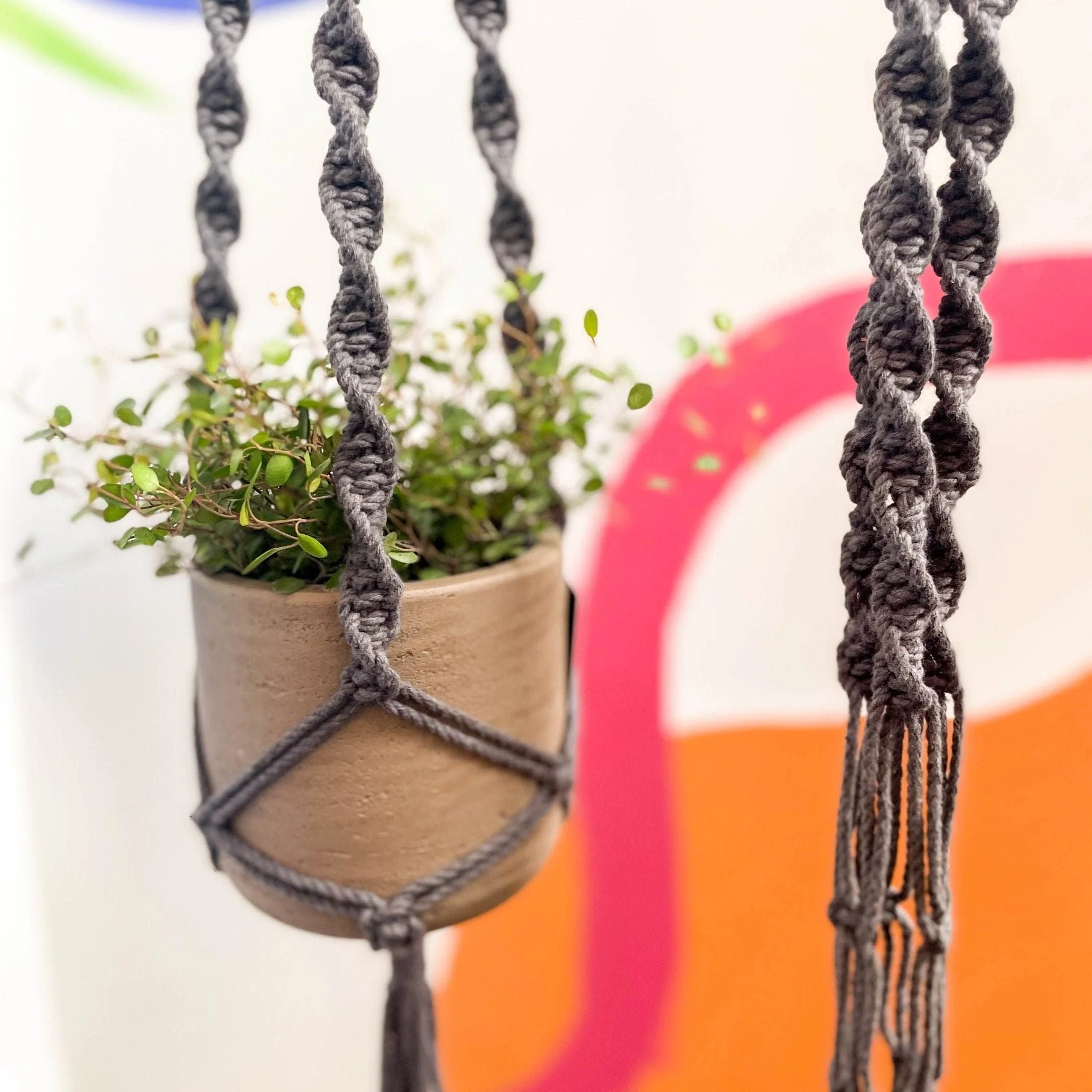 Charcoal Grey Macrame Plant Hanger