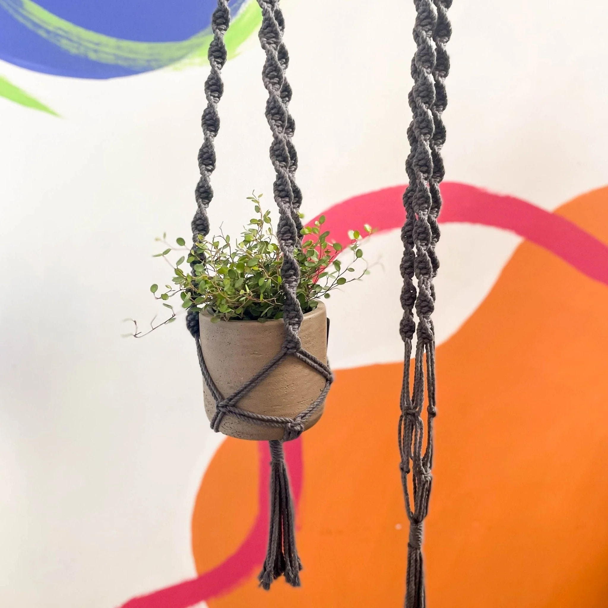 Charcoal Grey Macrame Plant Hanger - Image 3
