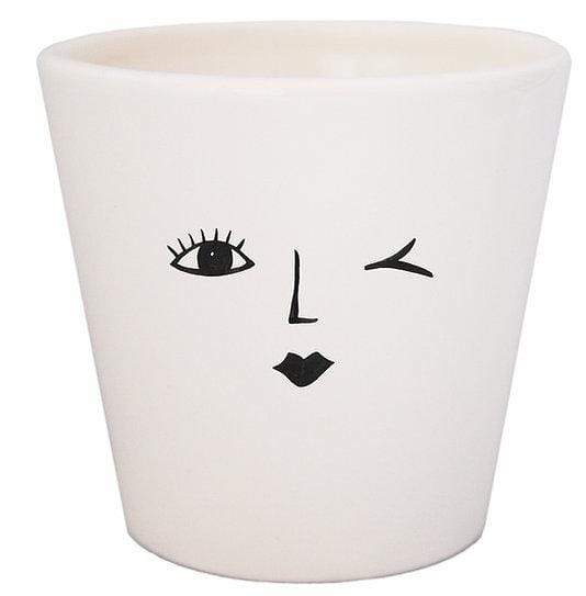 Cheeky Face Planter