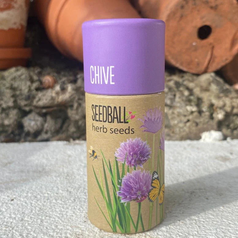 Chive Herb Garden Seedball Tubes - Image 4