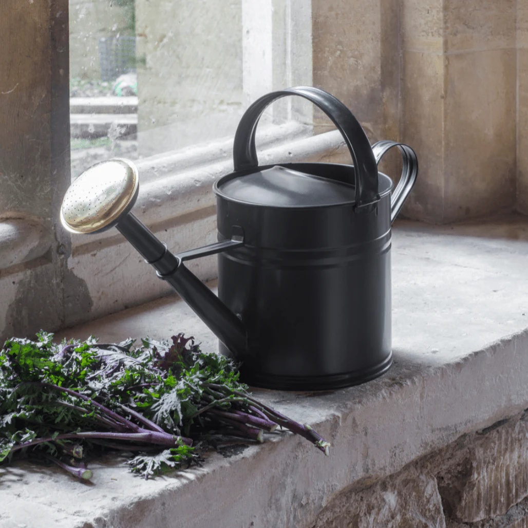 Classic Carbon Black 5L Steel Watering Can