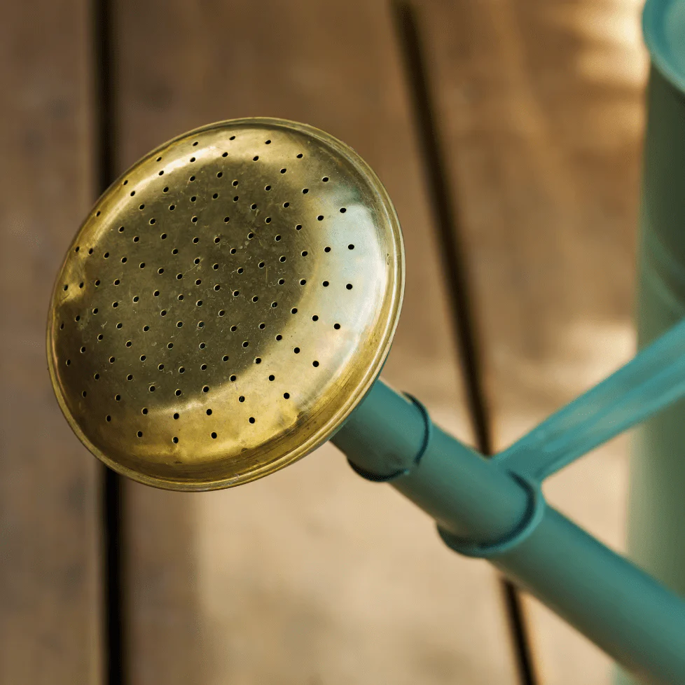 Classic Thistle Green 10L Steel Watering Can - Image 3