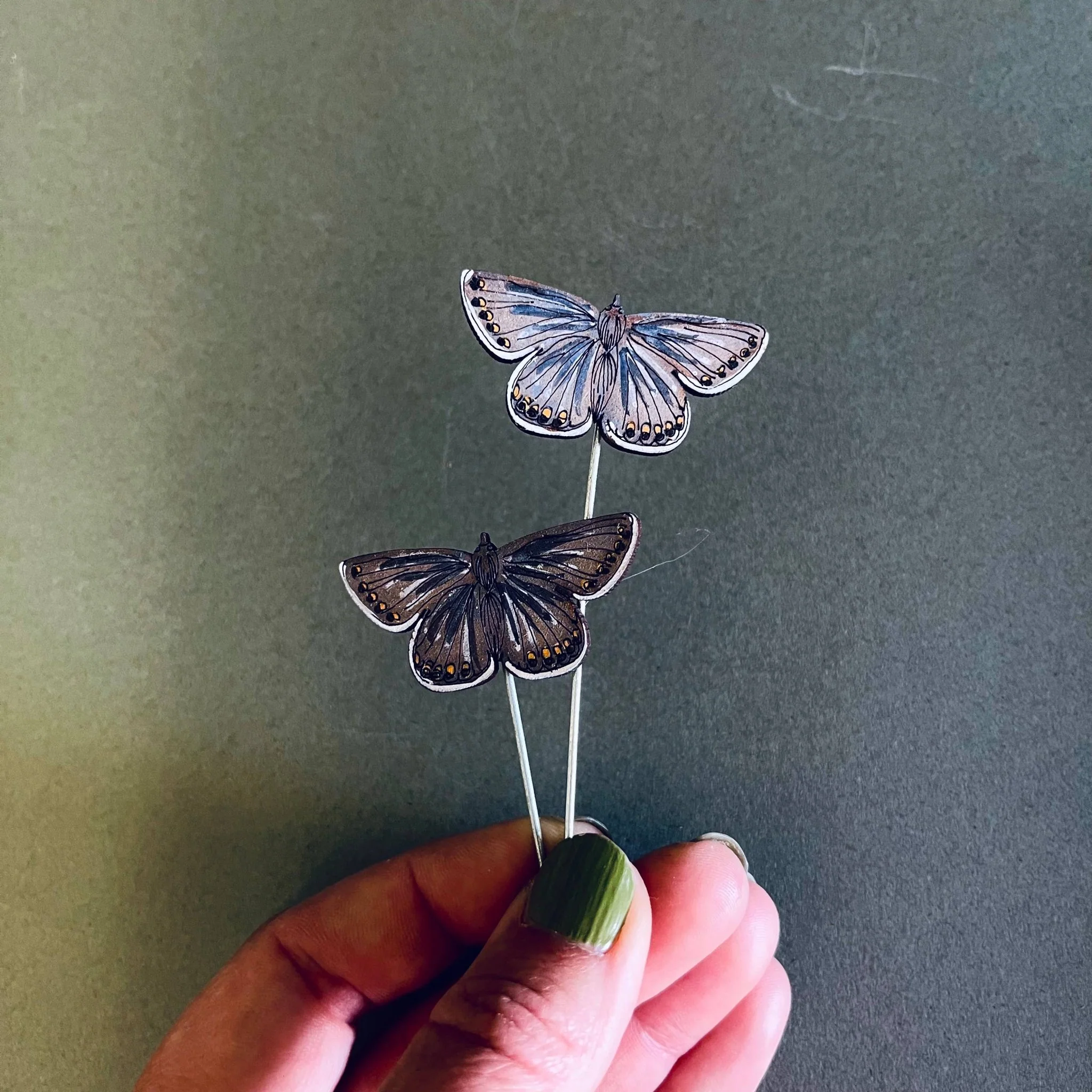 Common Blue Butterfly Plant Pot Companions