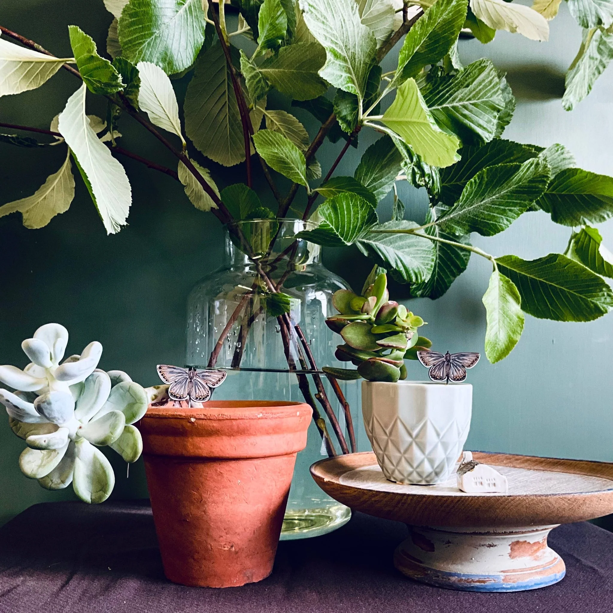 Common Blue Butterfly Plant Pot Companions - Image 4