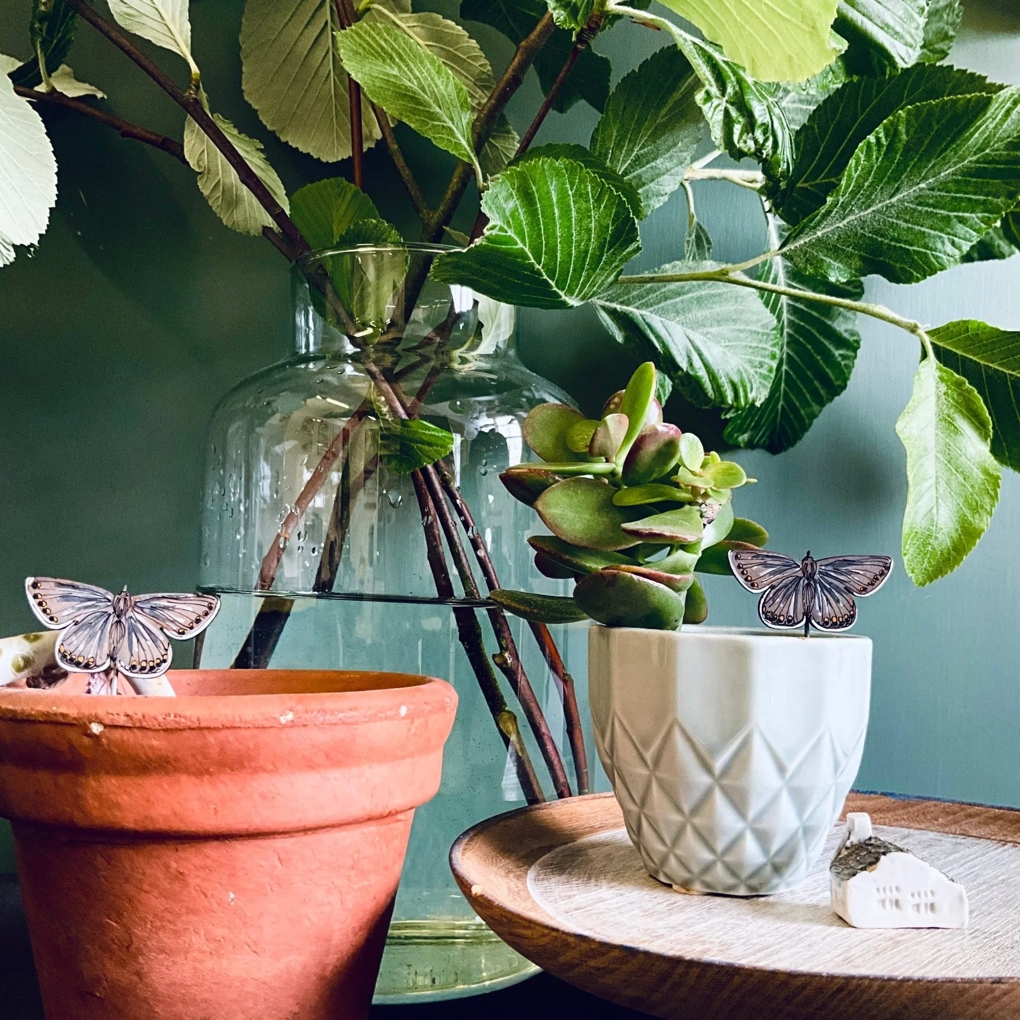 Common Blue Butterfly Plant Pot Companions - Image 6