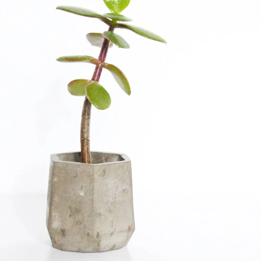 Grey Concrete Mini Hexagonal Vessel