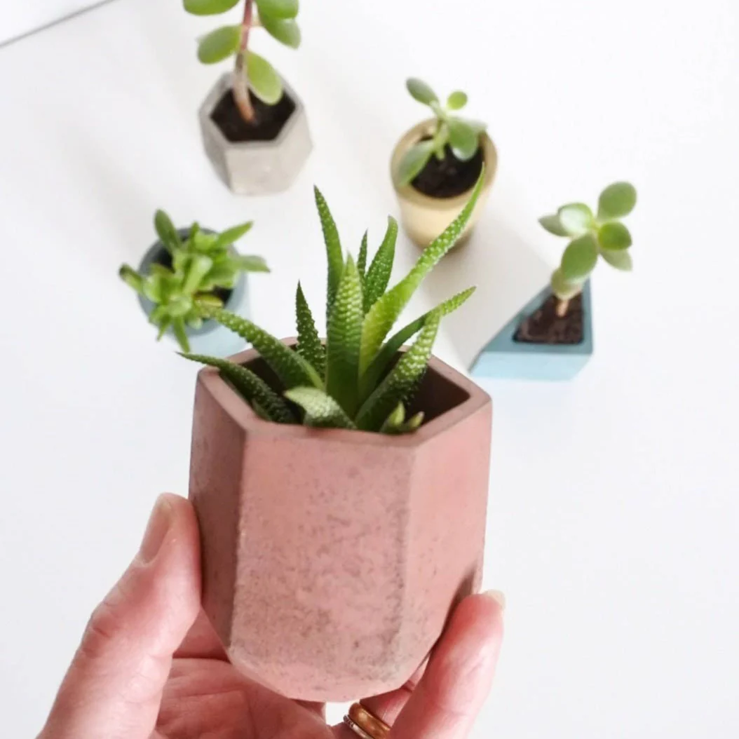 Pink Concrete Mini Hexagonal Vessel - Ex-display
