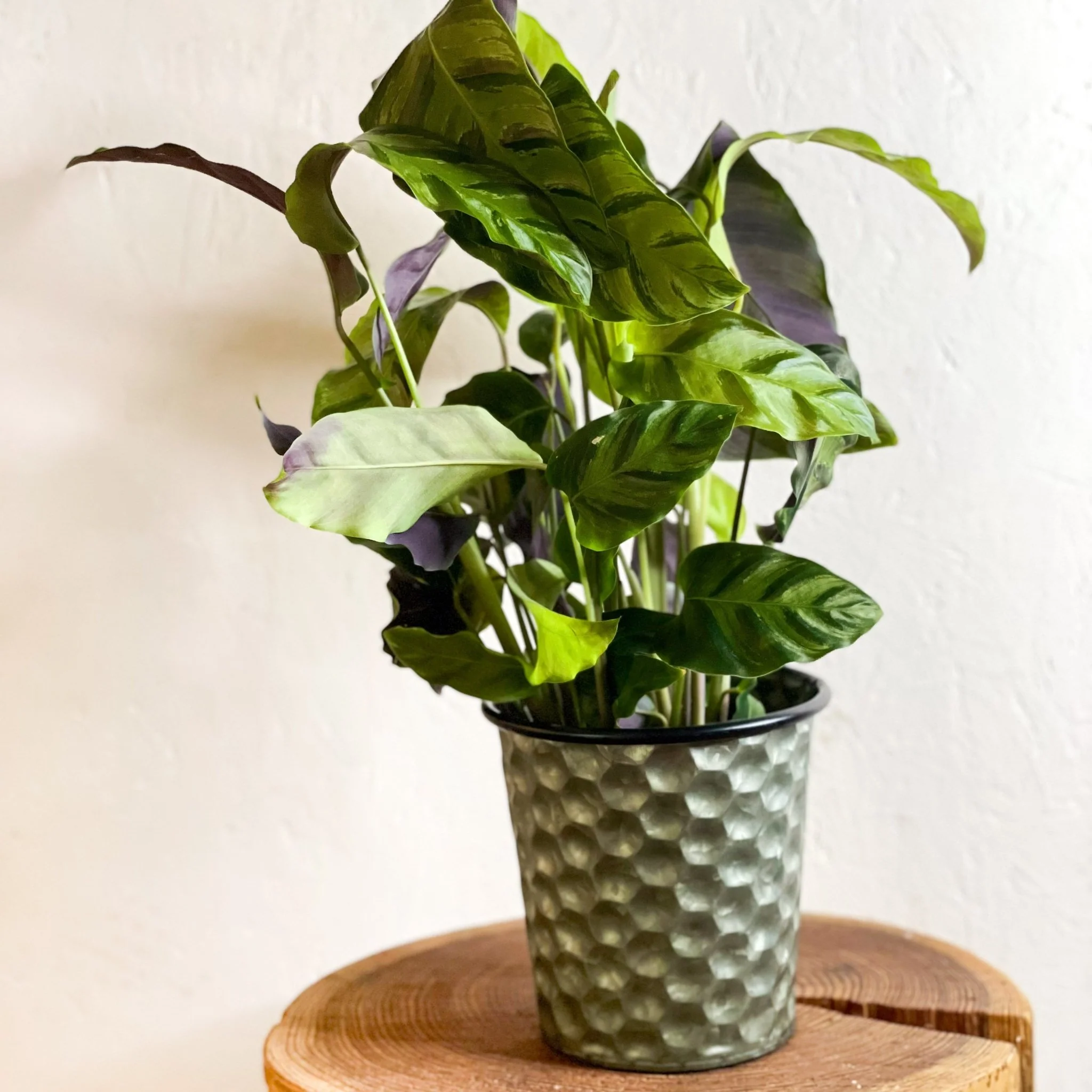 Hexagonal Zinc Metal Planter - Image 2