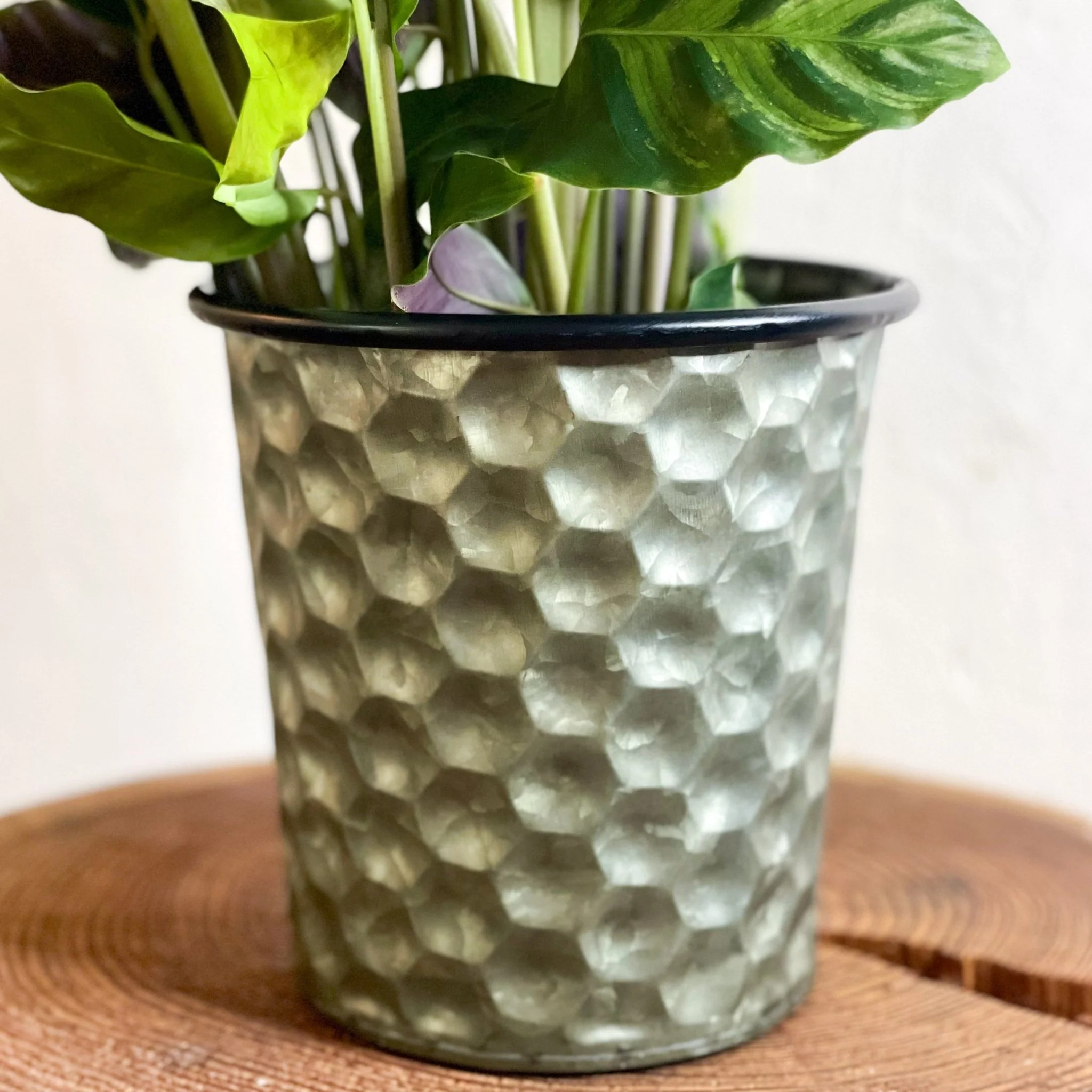 Hexagonal Zinc Metal Planter - Image 3