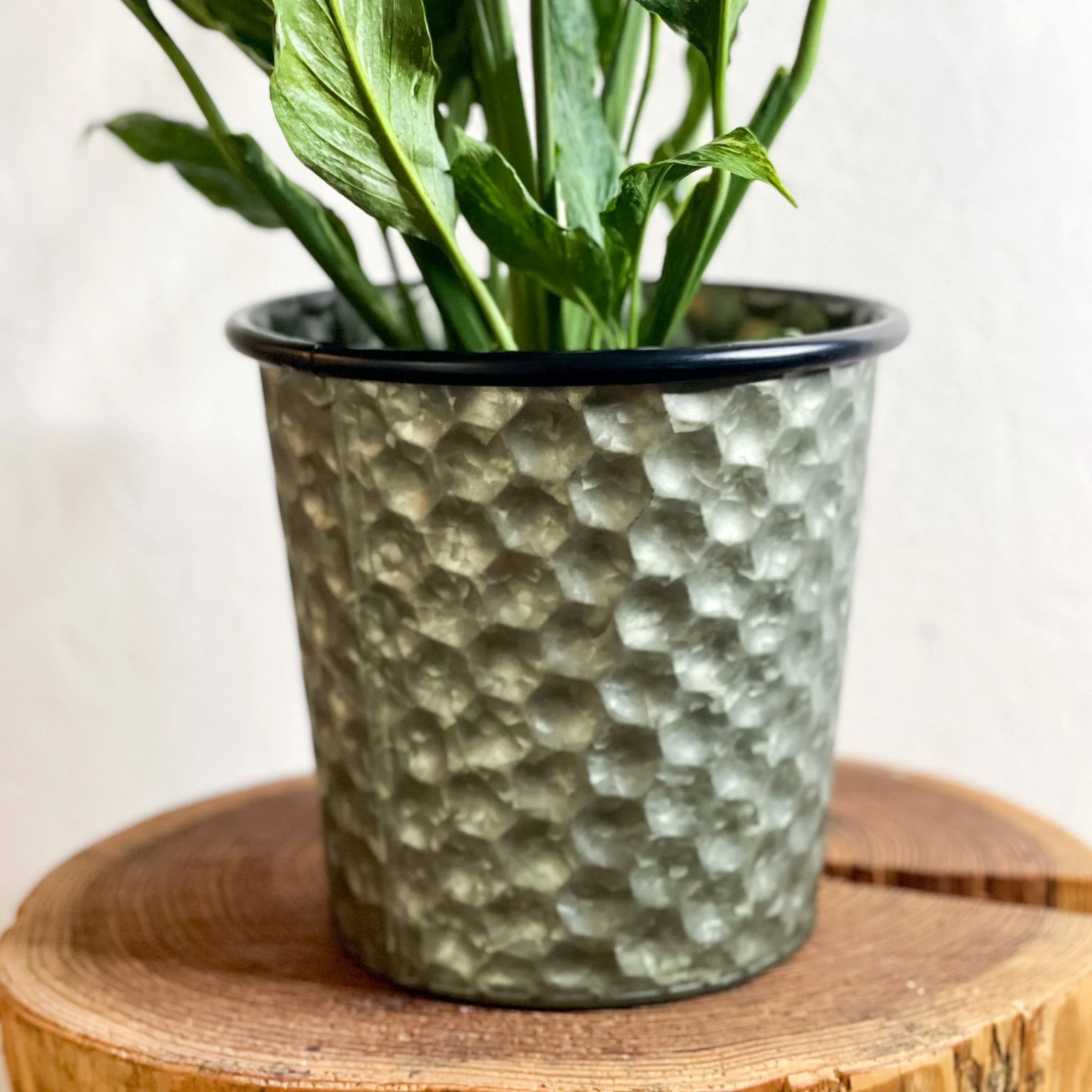 Hexagonal Zinc Metal Planter - Image 5