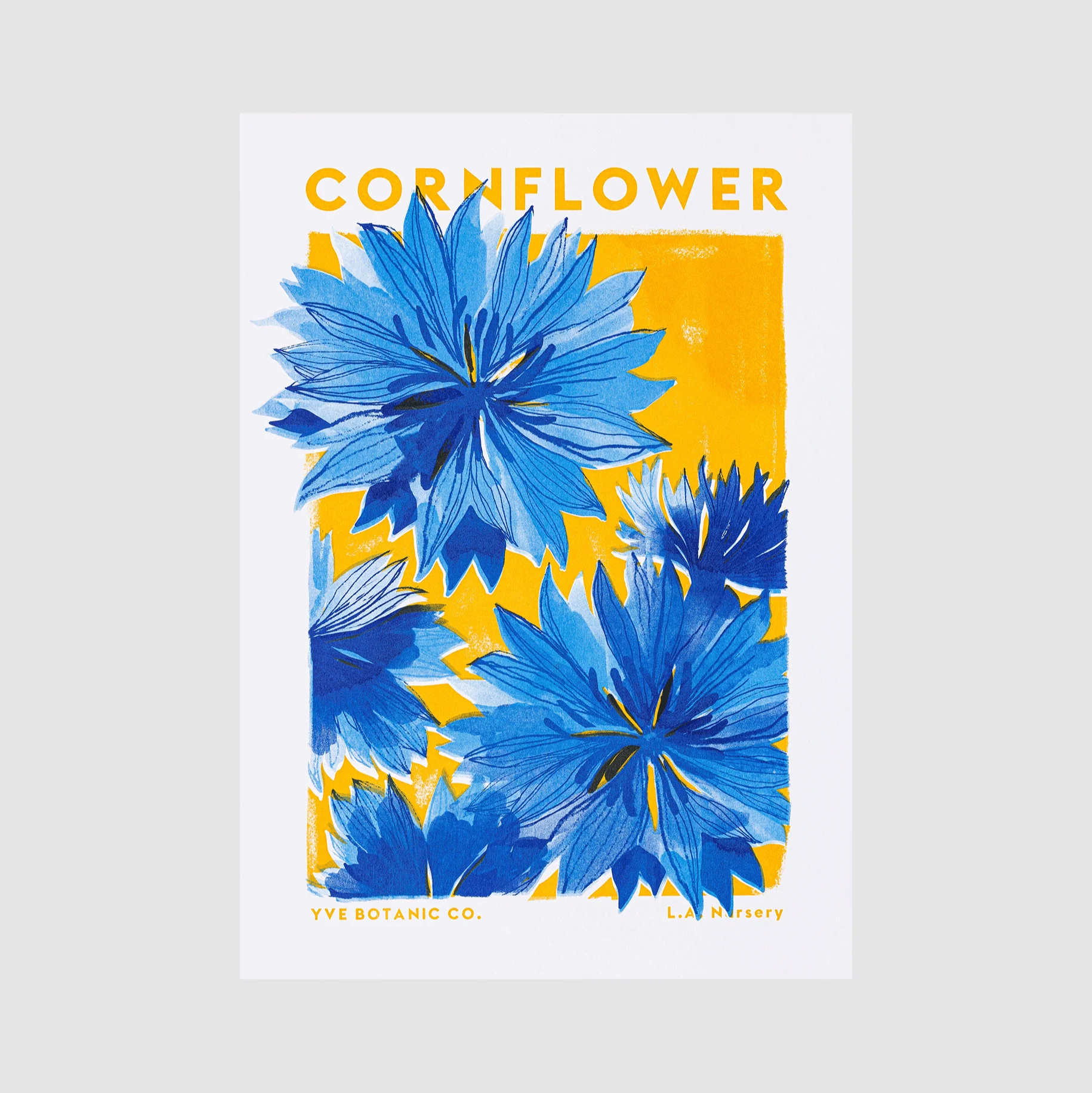 Cornflower Botanical Risograph Print
