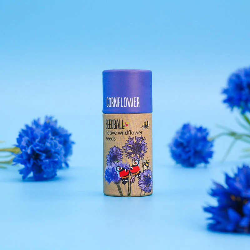 Cornflower Wildflower Seedball Tubes - Image 2