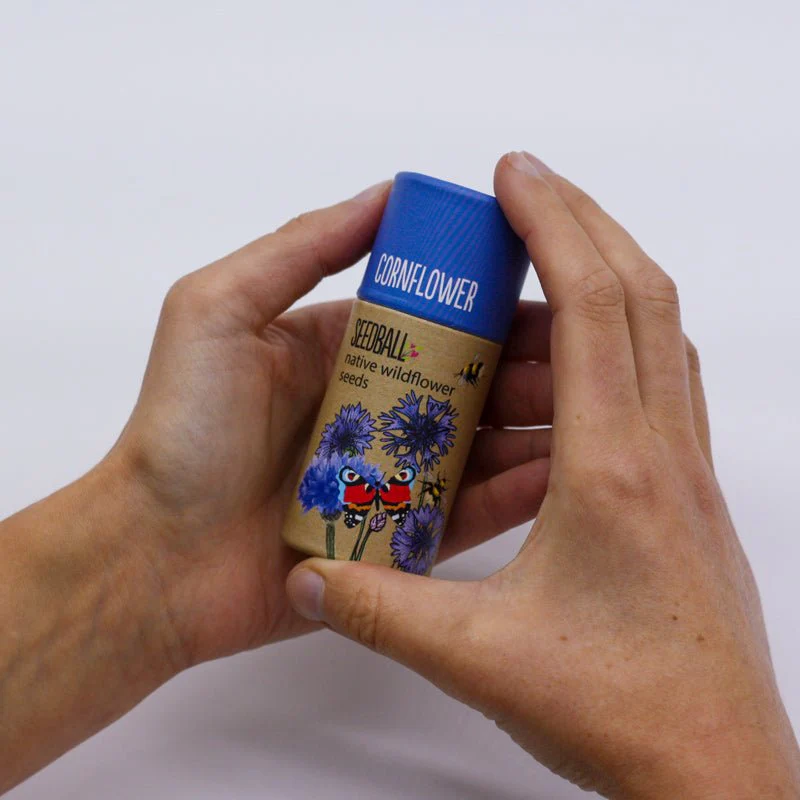 Cornflower Wildflower Seedball Tubes - Image 4