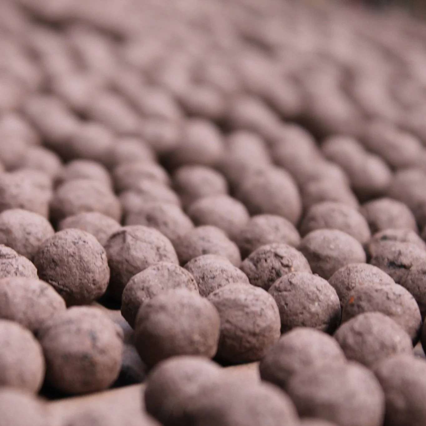 Cornflower Wildflower Seedball Tubes - Image 9
