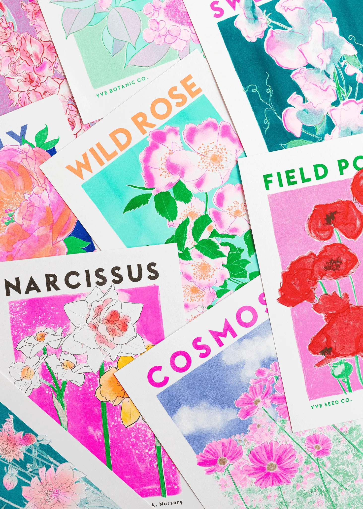 Cosmos Botanical Risograph Print - Image 3