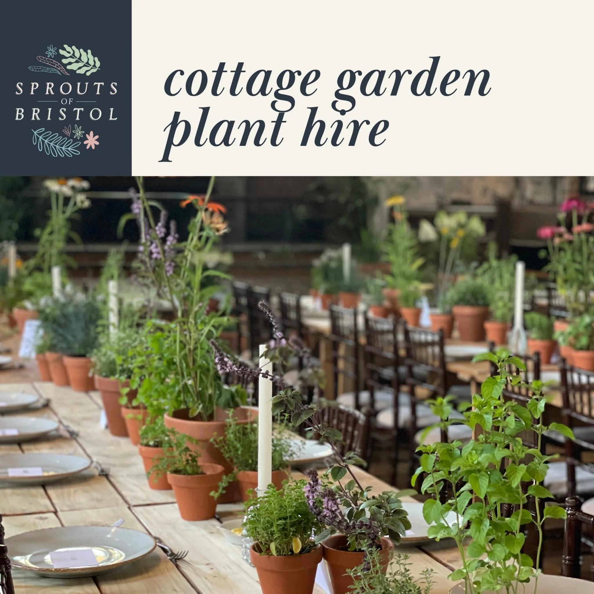 Cottage Garden Plant Hire – Romantic & Seasonal