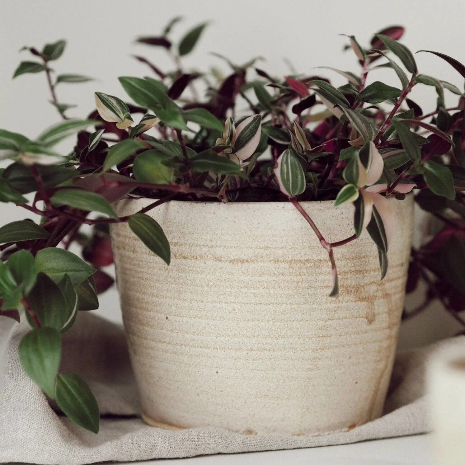 Cream UK Handmade Plant Pot
