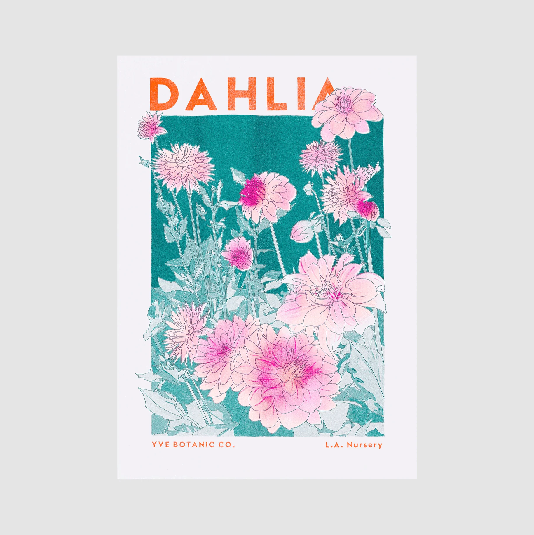 Dahlia Flower Risograph Print