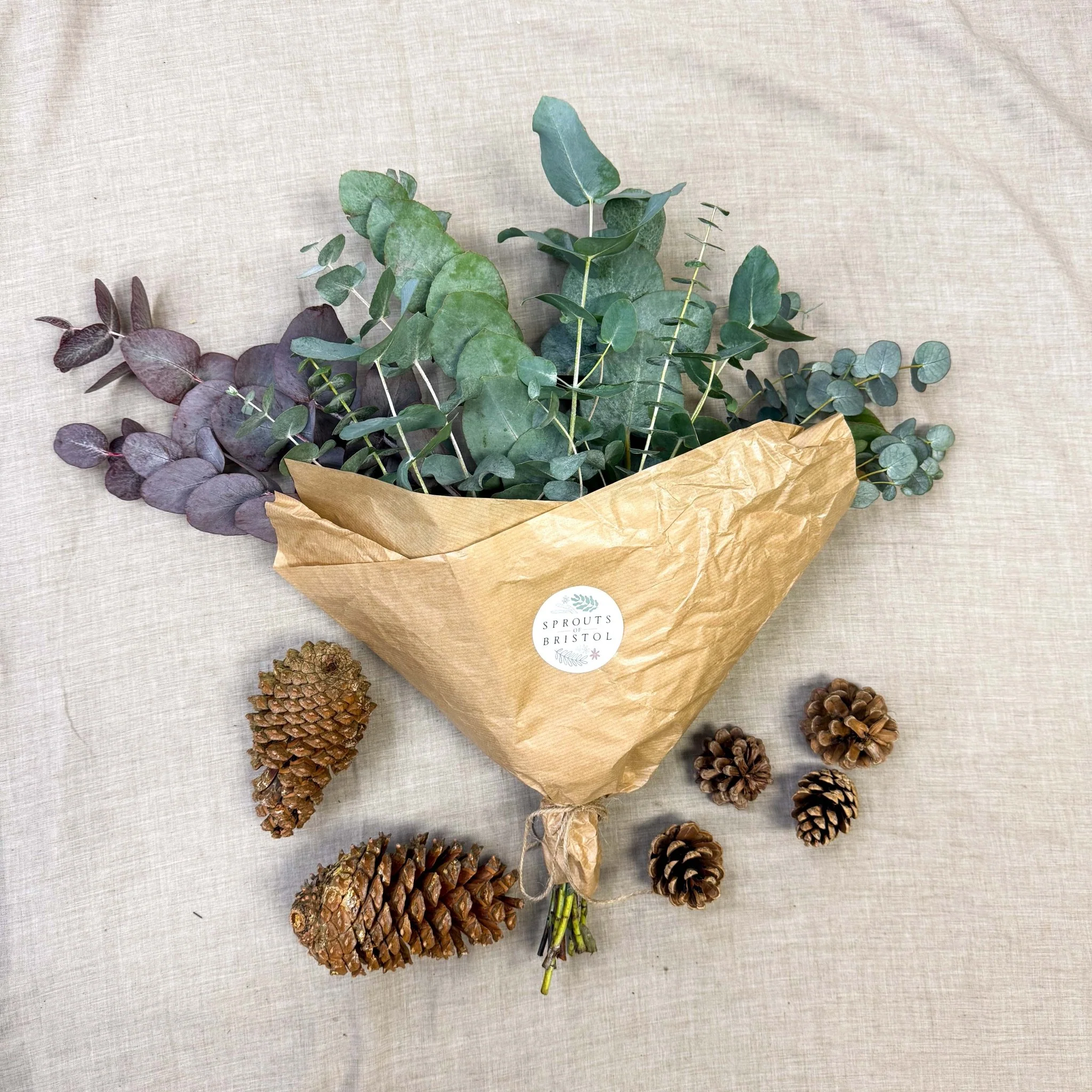 Eucalyptus Bunch – Mixed Varieties – Fresh Foliage for Christmas Wreaths, Floristry & Festive Crafting - Image 11
