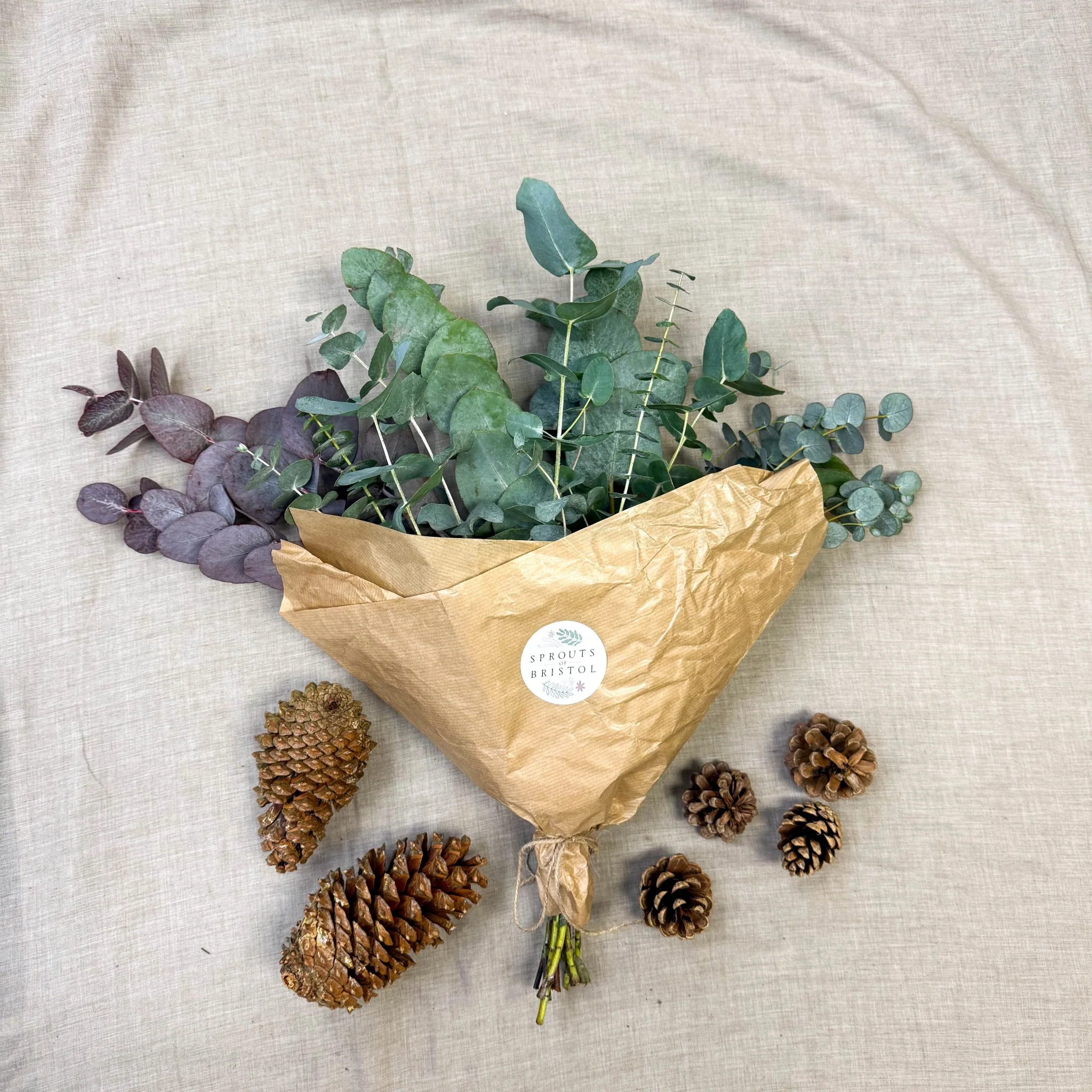 Eucalyptus Bunch – Mixed Varieties – Fresh Foliage for Christmas Wreaths, Floristry & Festive Crafting - Image 12