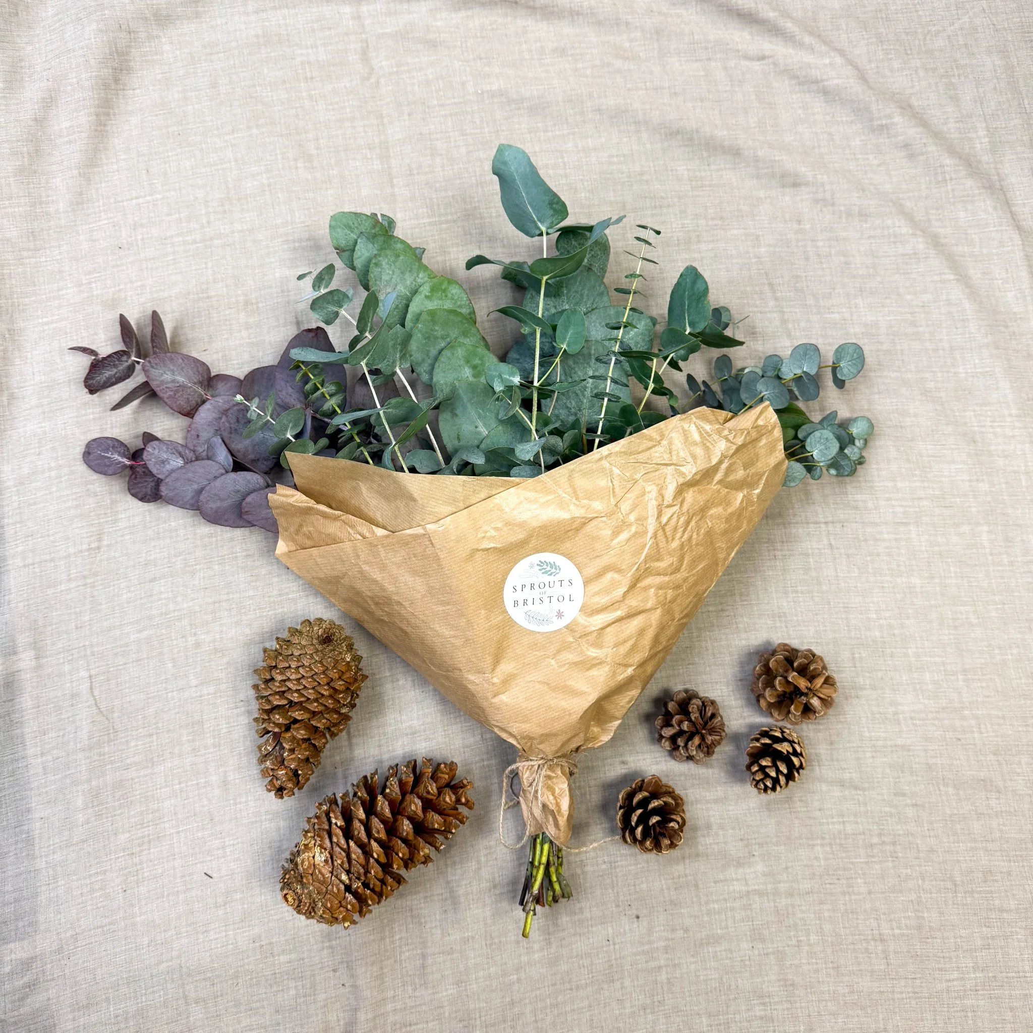 Eucalyptus Bunch – Mixed Varieties – Fresh Foliage for Christmas Wreaths, Floristry & Festive Crafting - Image 4