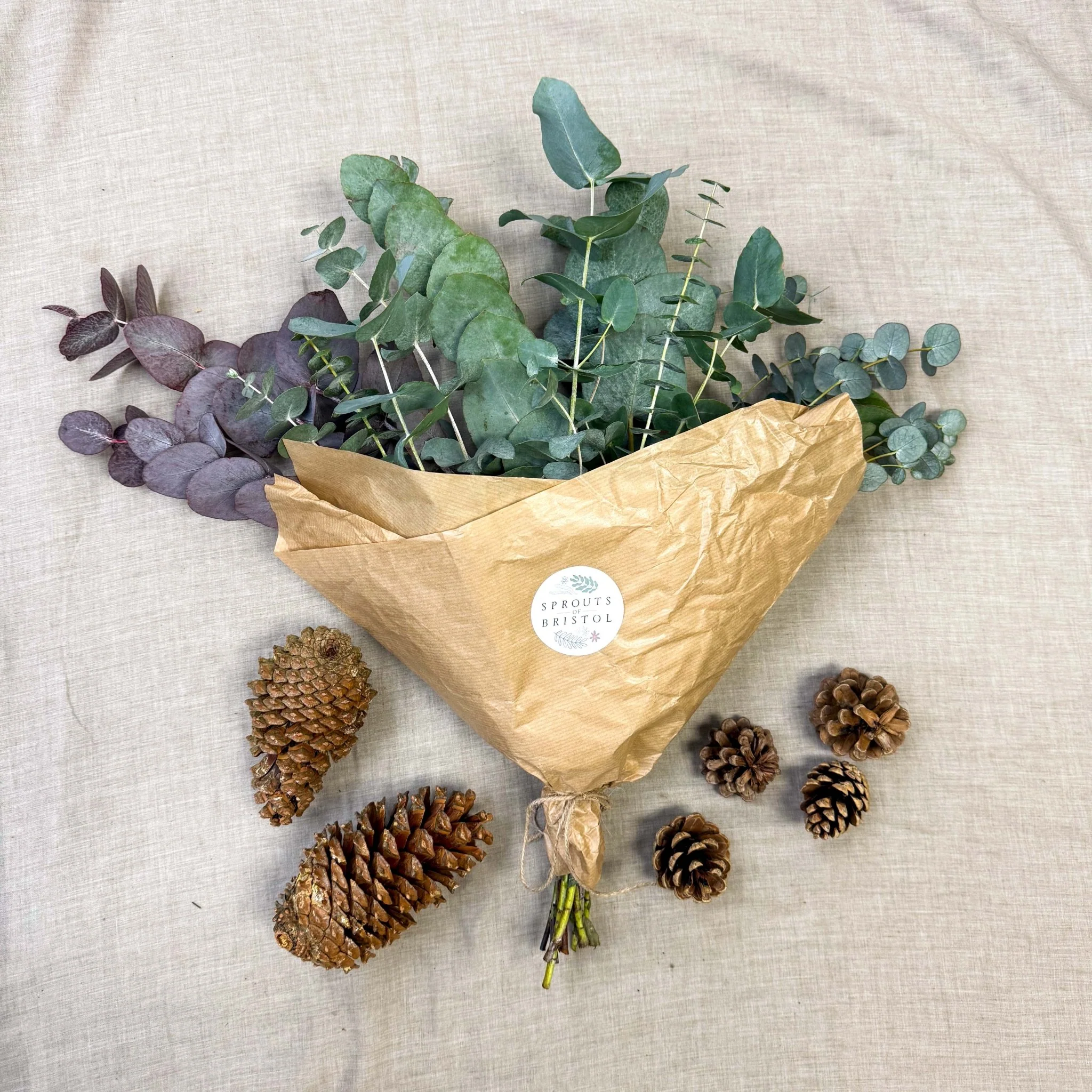 Eucalyptus Bunch – Mixed Varieties – Fresh Foliage for Christmas Wreaths, Floristry & Festive Crafting - Image 6