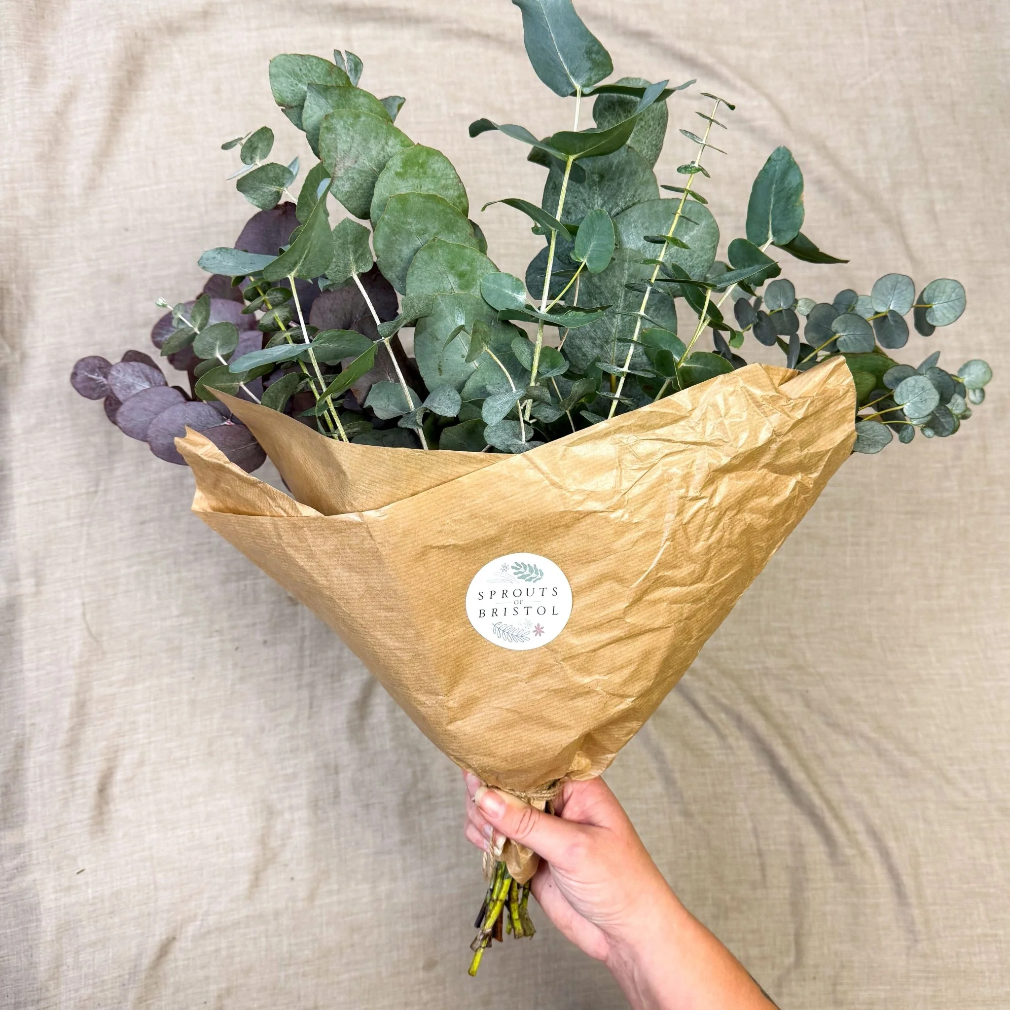 Eucalyptus Bunch – Mixed Varieties – Fresh Foliage for Christmas Wreaths, Floristry & Festive Crafting - Image 8