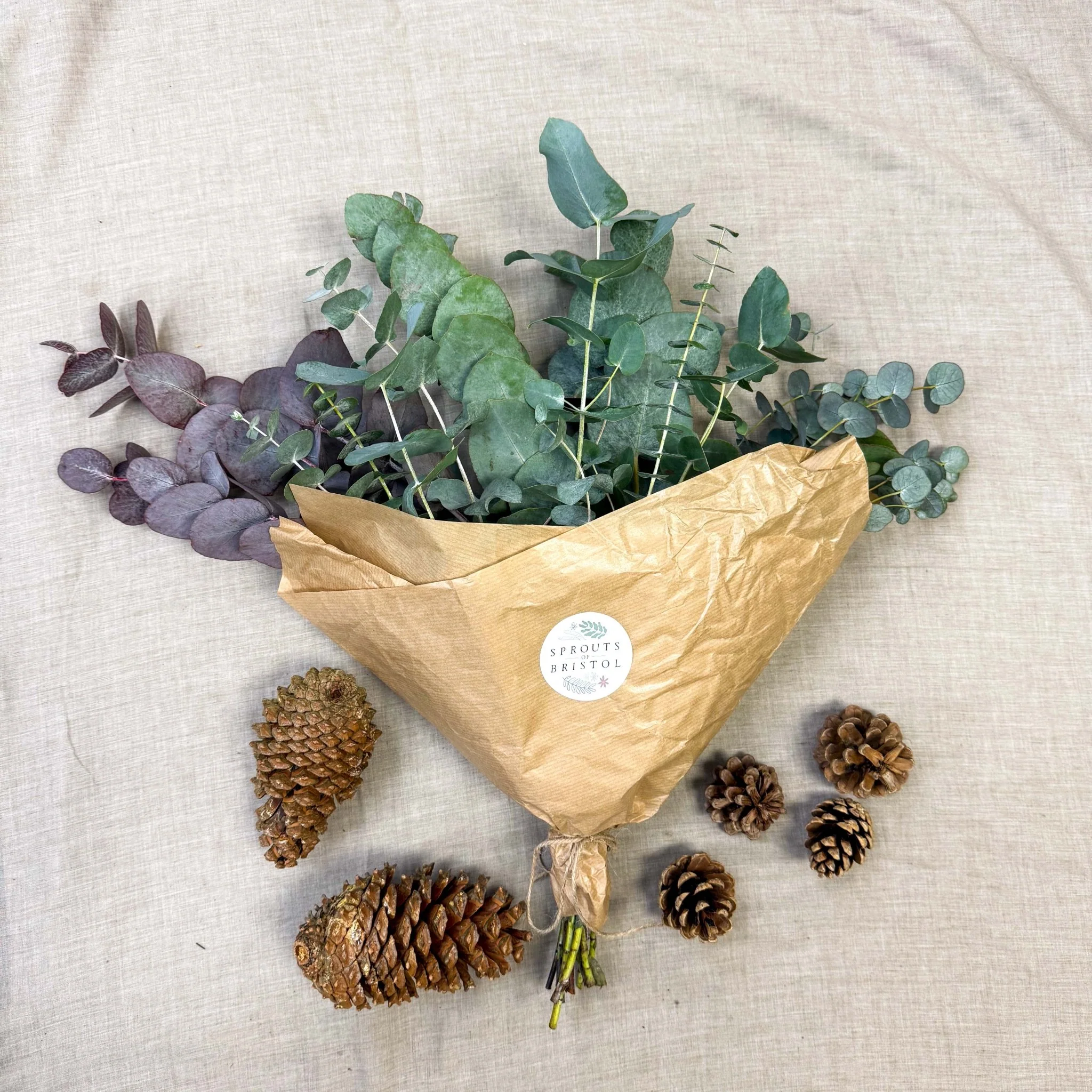 Eucalyptus Bunch – Mixed Varieties – Fresh Foliage for Christmas Wreaths, Floristry & Festive Crafting - Image 9