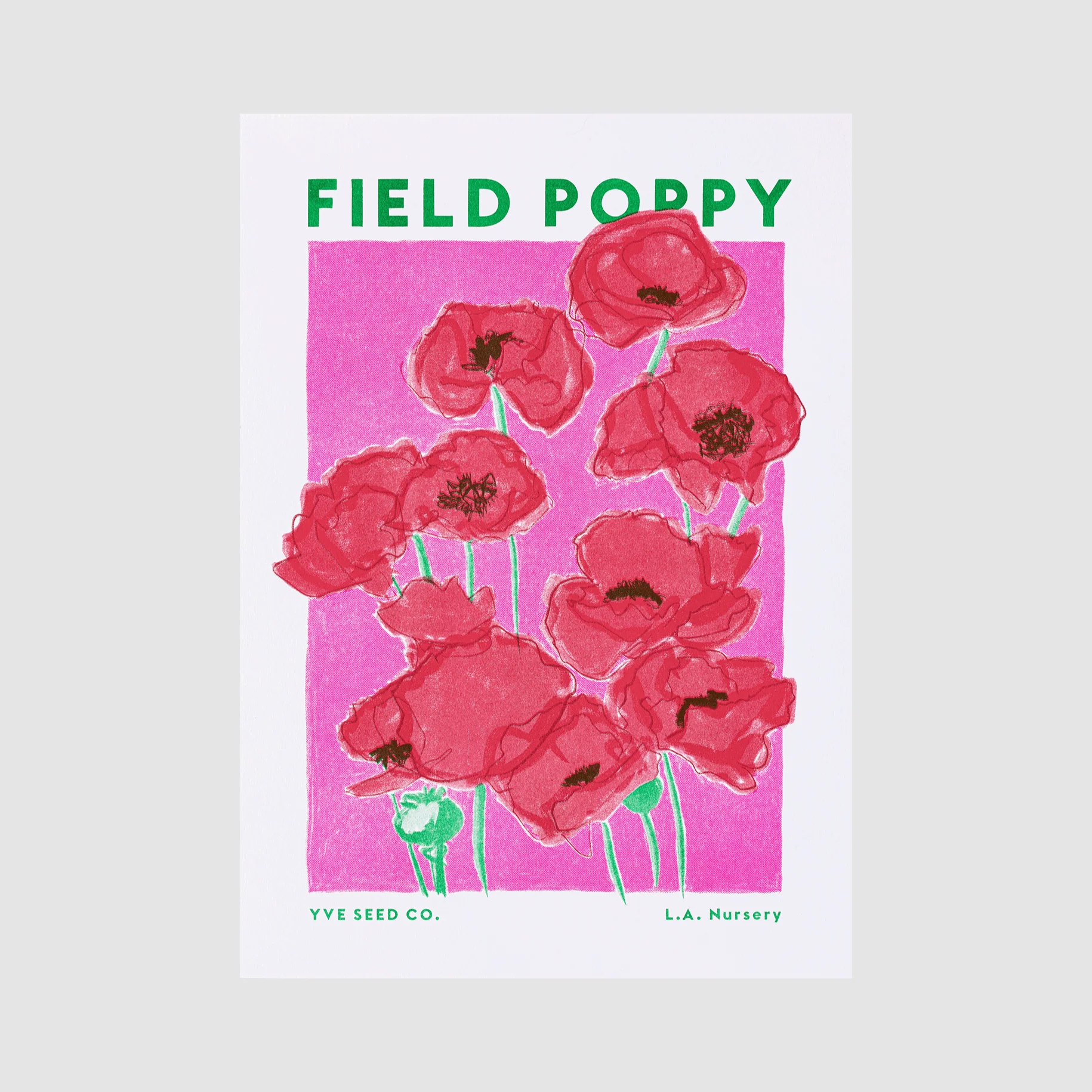 Field Poppy Flower Risograph Print
