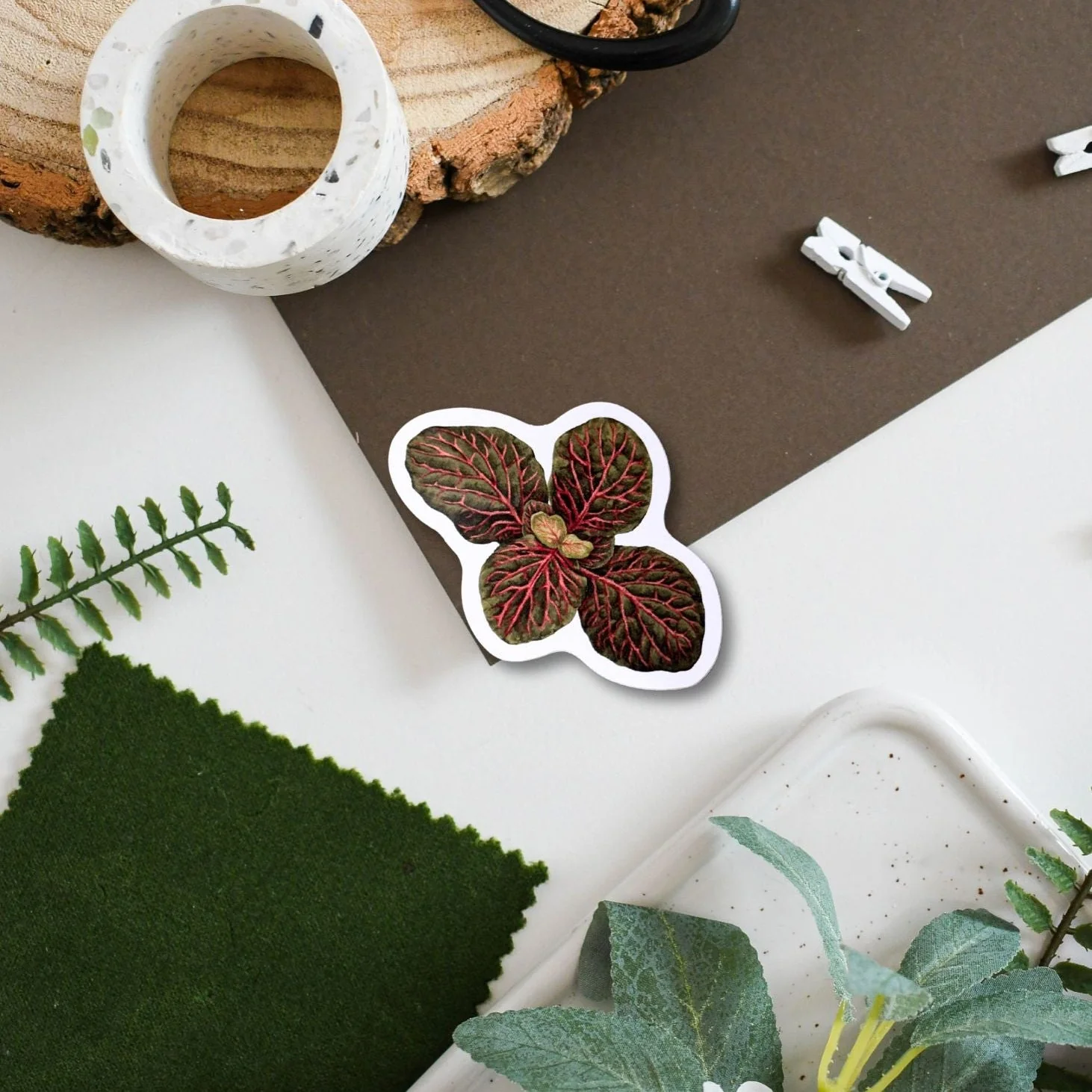 Fittonia Tropical Houseplant Vinyl Sticker [Beneath the Canopy RHS Collab]