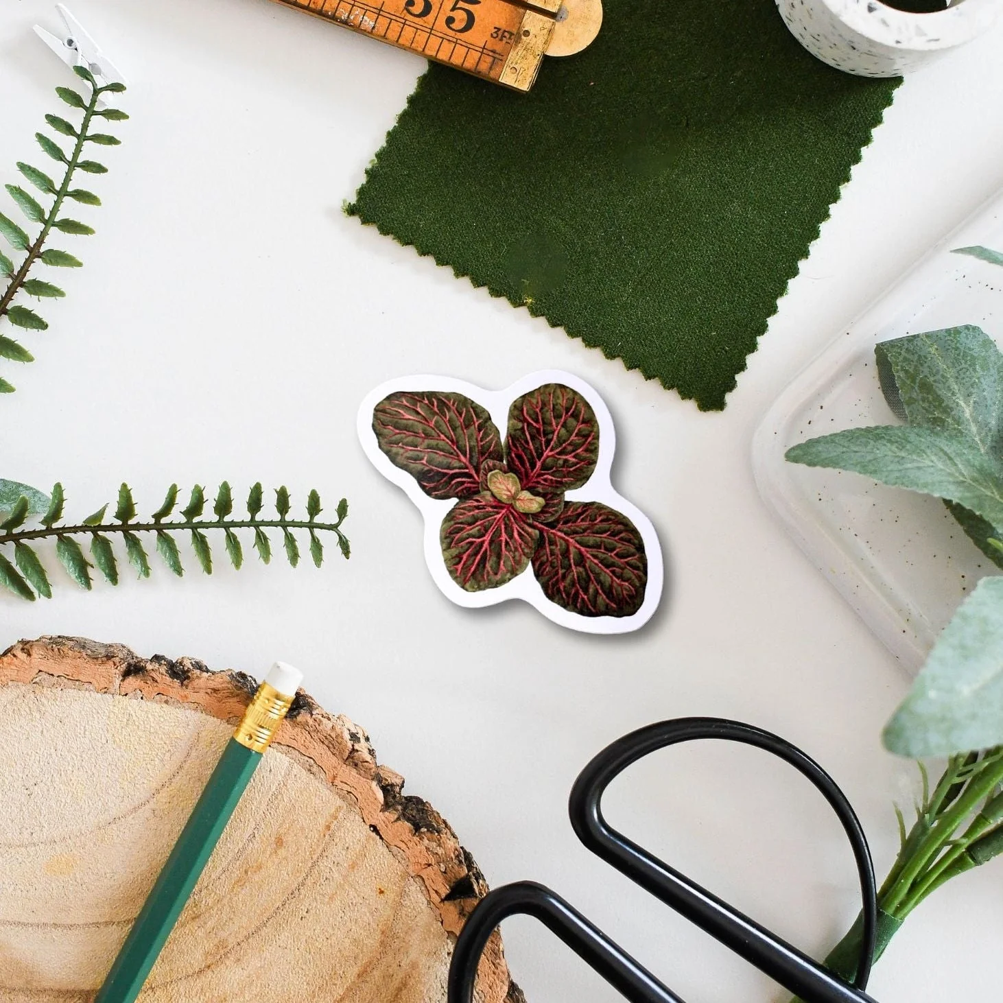 Fittonia Tropical Houseplant Vinyl Sticker [Beneath the Canopy RHS Collab] - Image 2