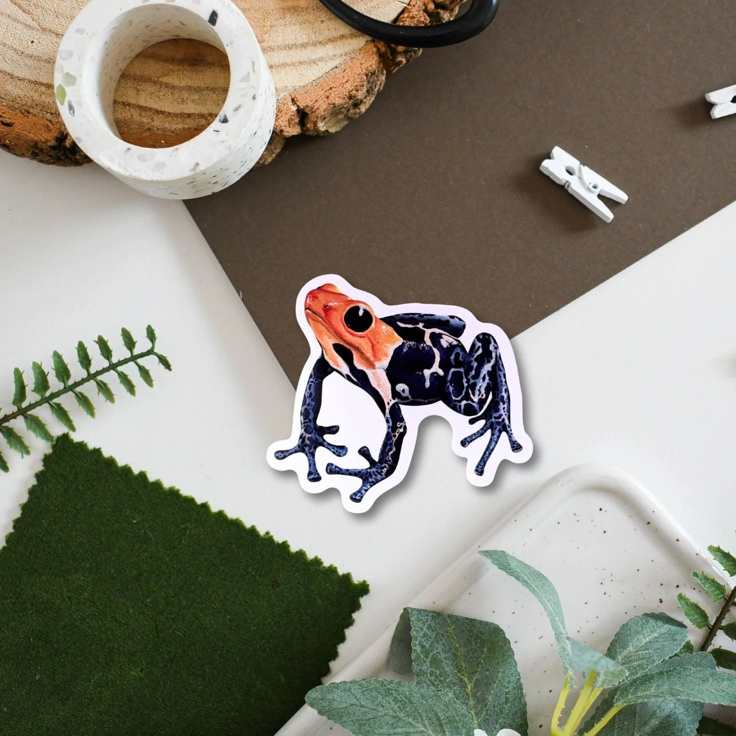 Frog Amazon Wildlife Vinyl Sticker [Beneath the Canopy RHS Collab]