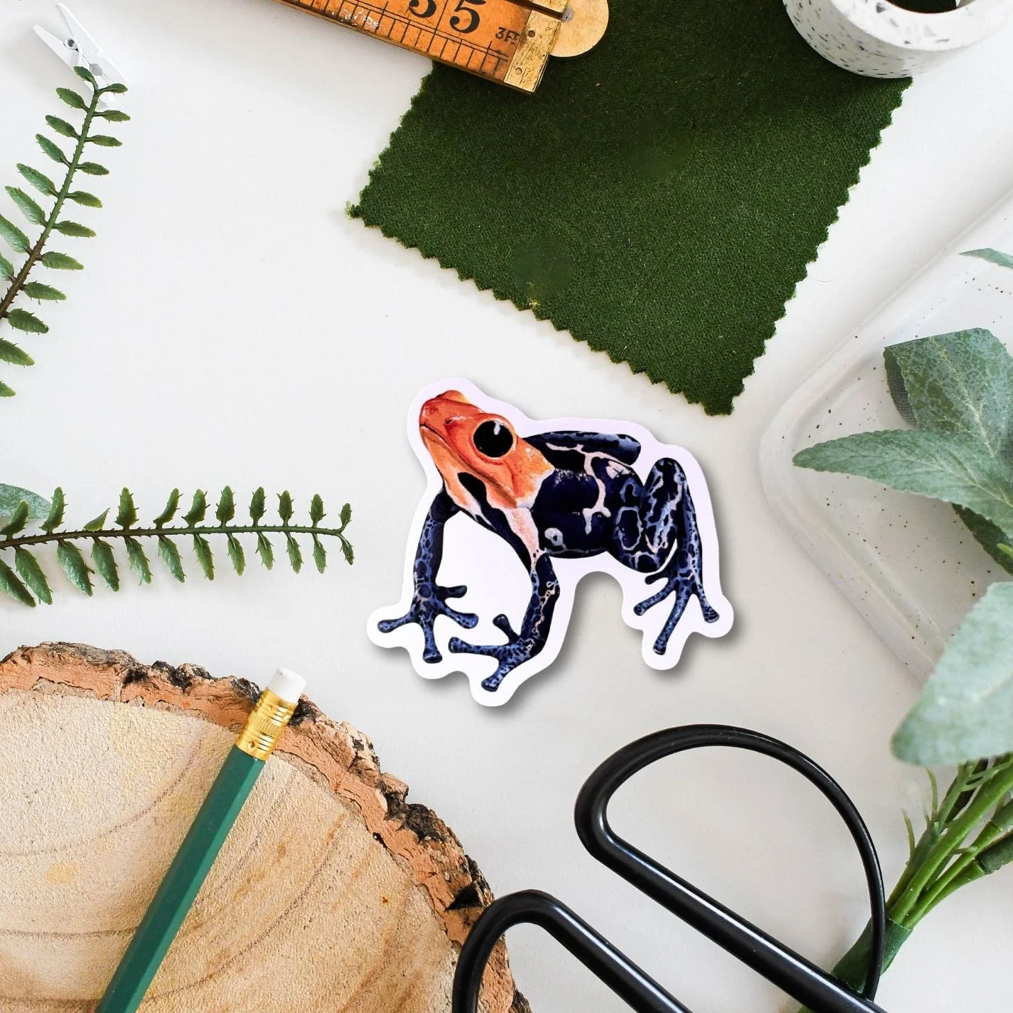 Frog Amazon Wildlife Vinyl Sticker [Beneath the Canopy RHS Collab] - Image 2
