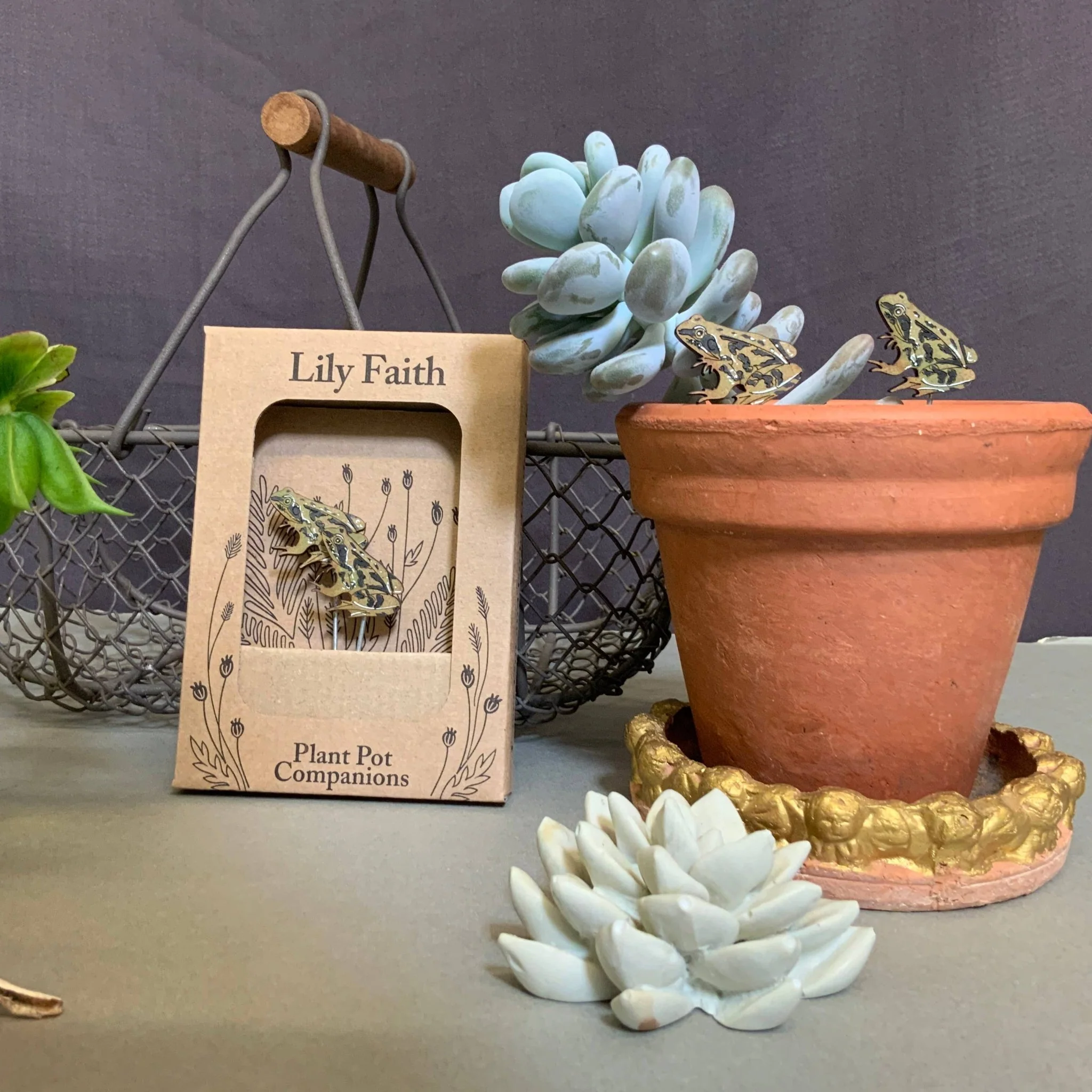 Frog Plant Pot Companions - Image 3