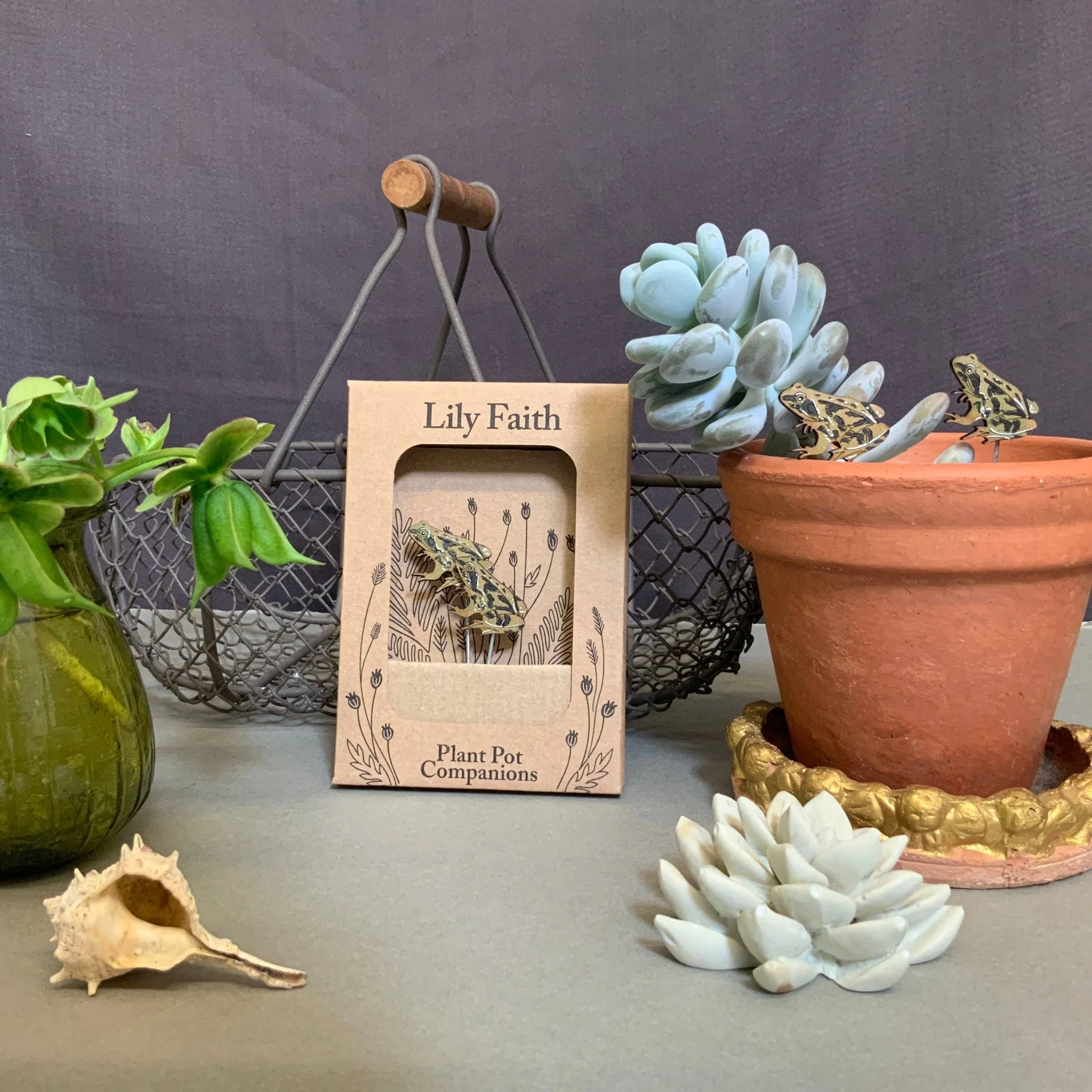 Frog Plant Pot Companions - Image 5