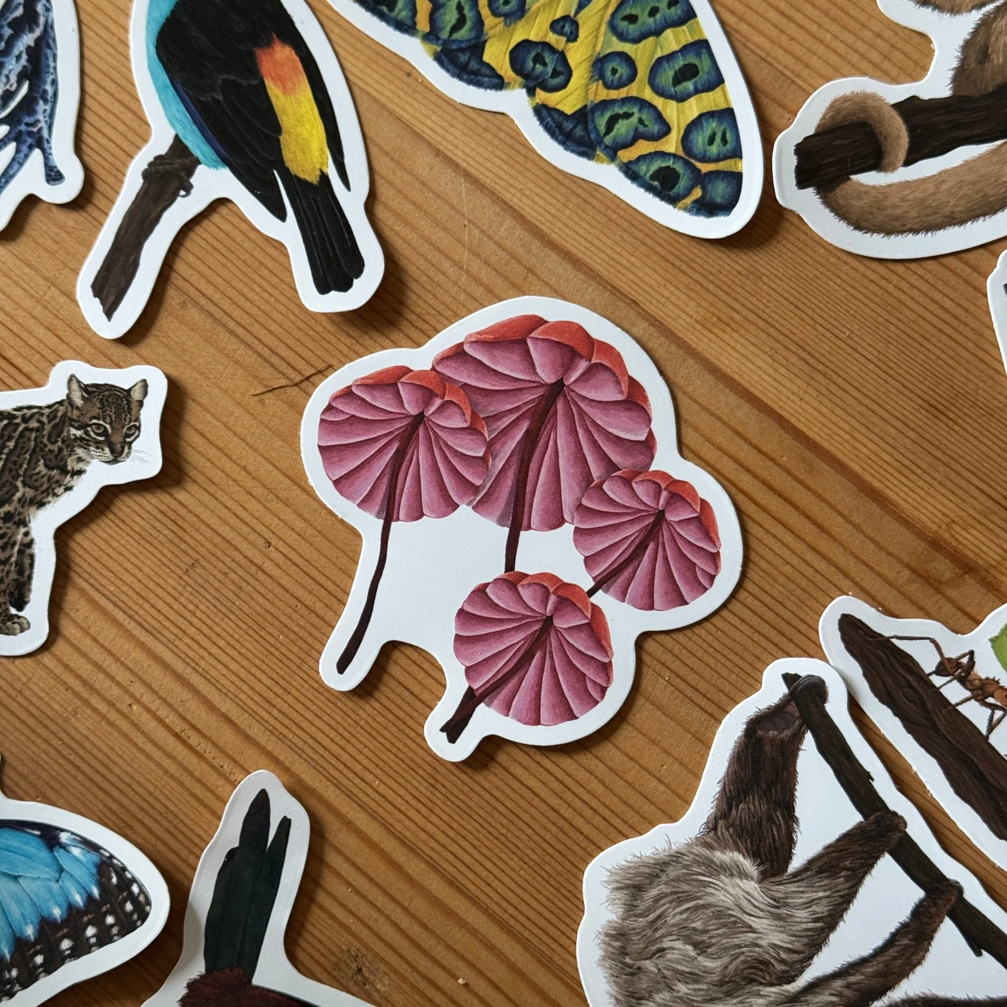 Fungi Mushroom Amazon Wildlife Vinyl Sticker [Beneath the Canopy RHS Collab] - Image 3