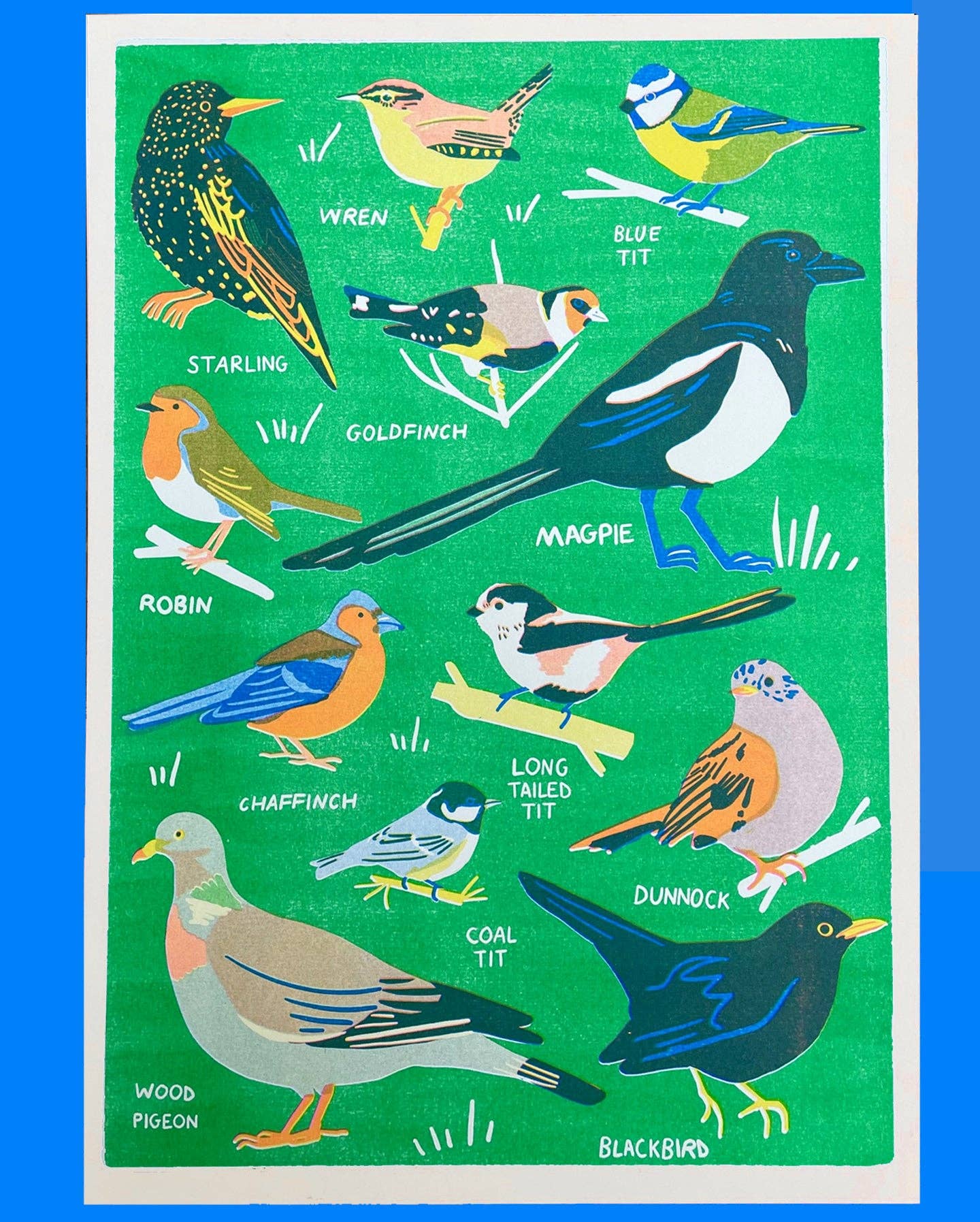 Garden Bird Risograph A3 Print