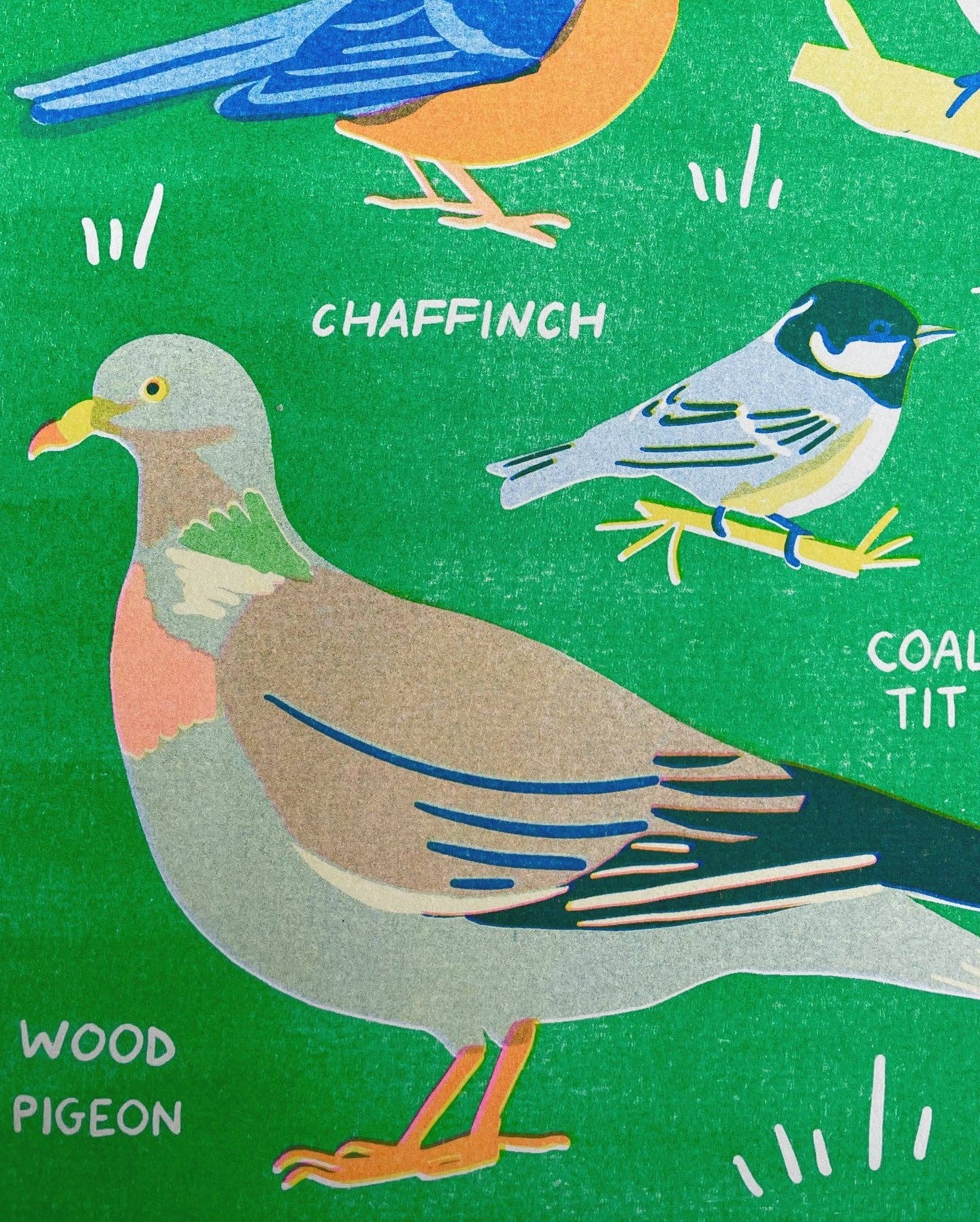Garden Bird Risograph A3 Print - Image 3