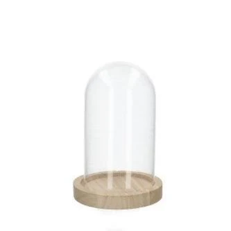 Glass Cloche Vessel with Wooden Base [Terrarium Supplies]