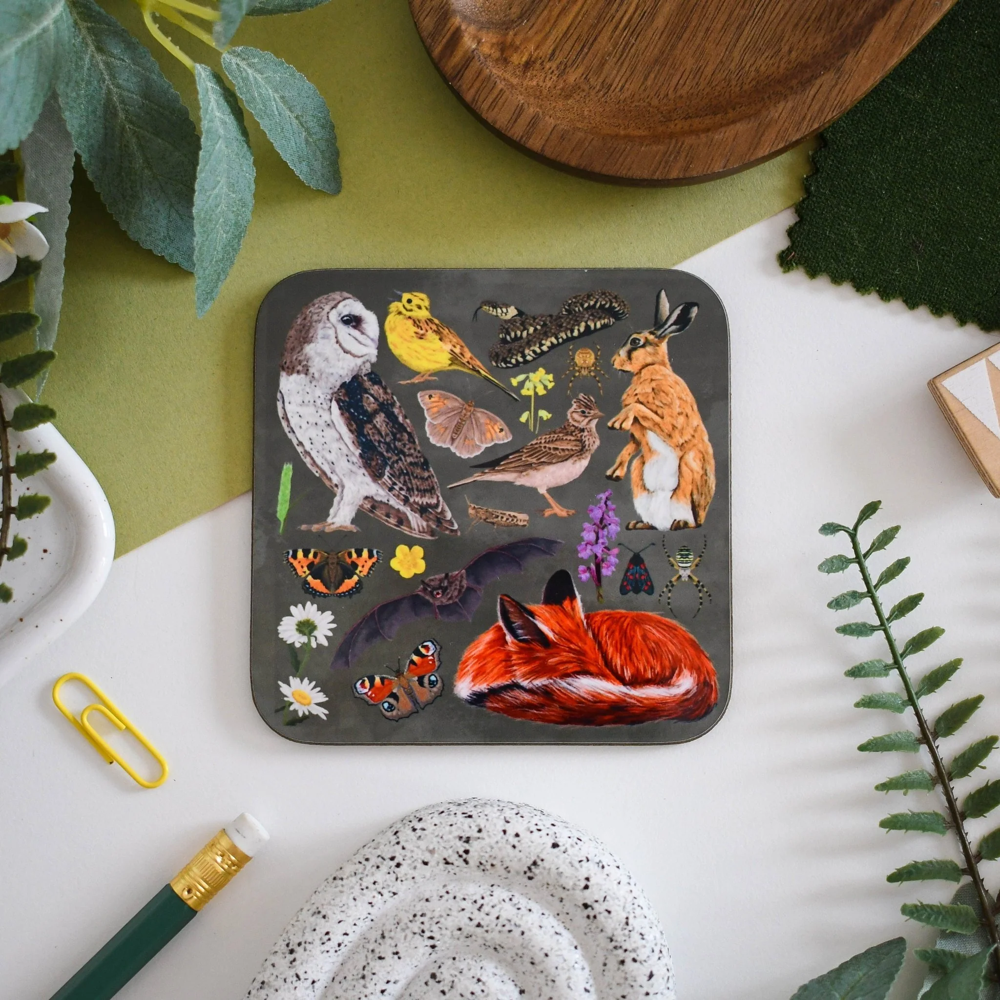Grassland Illustrated Wildlife Coaster – Featuring Hares, Wildflowers & Butterflies - Image 2
