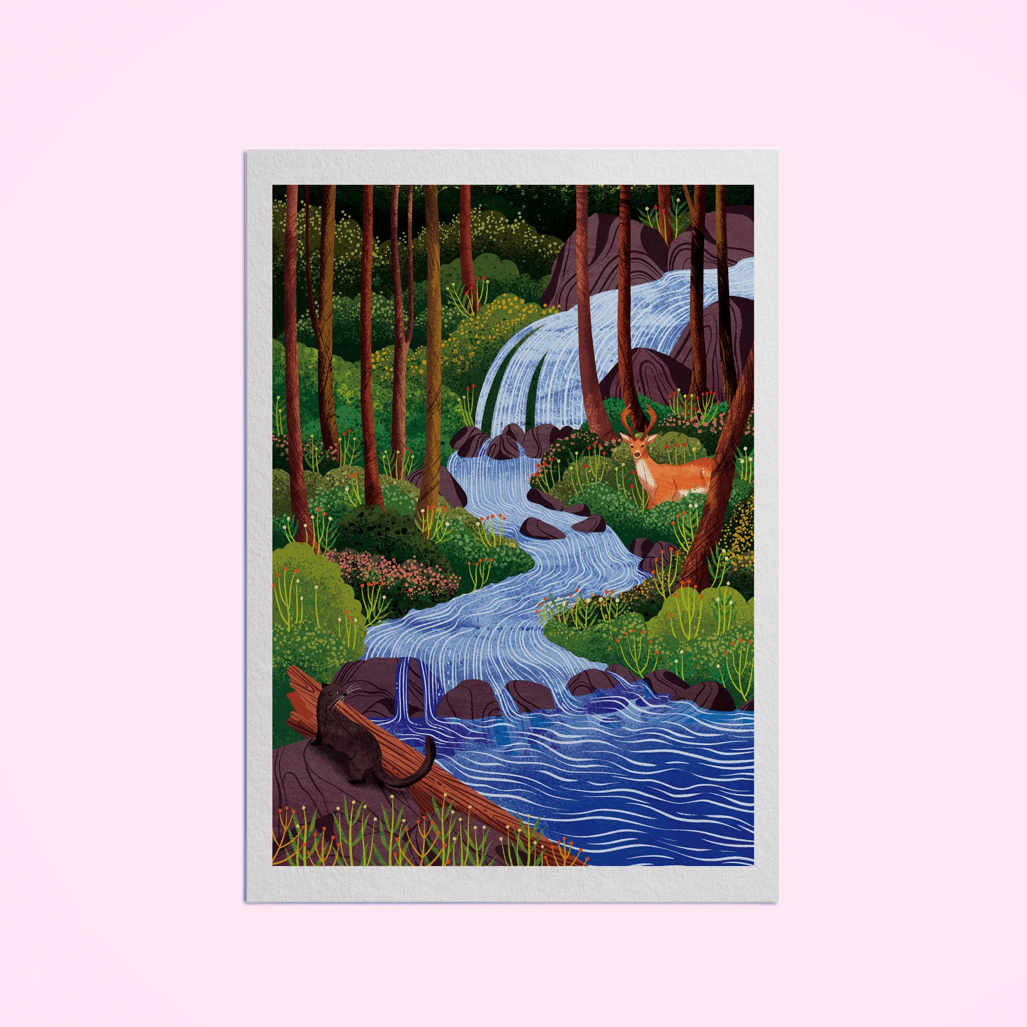 Great Bear Rainforest Giclee Art Print - Image 2