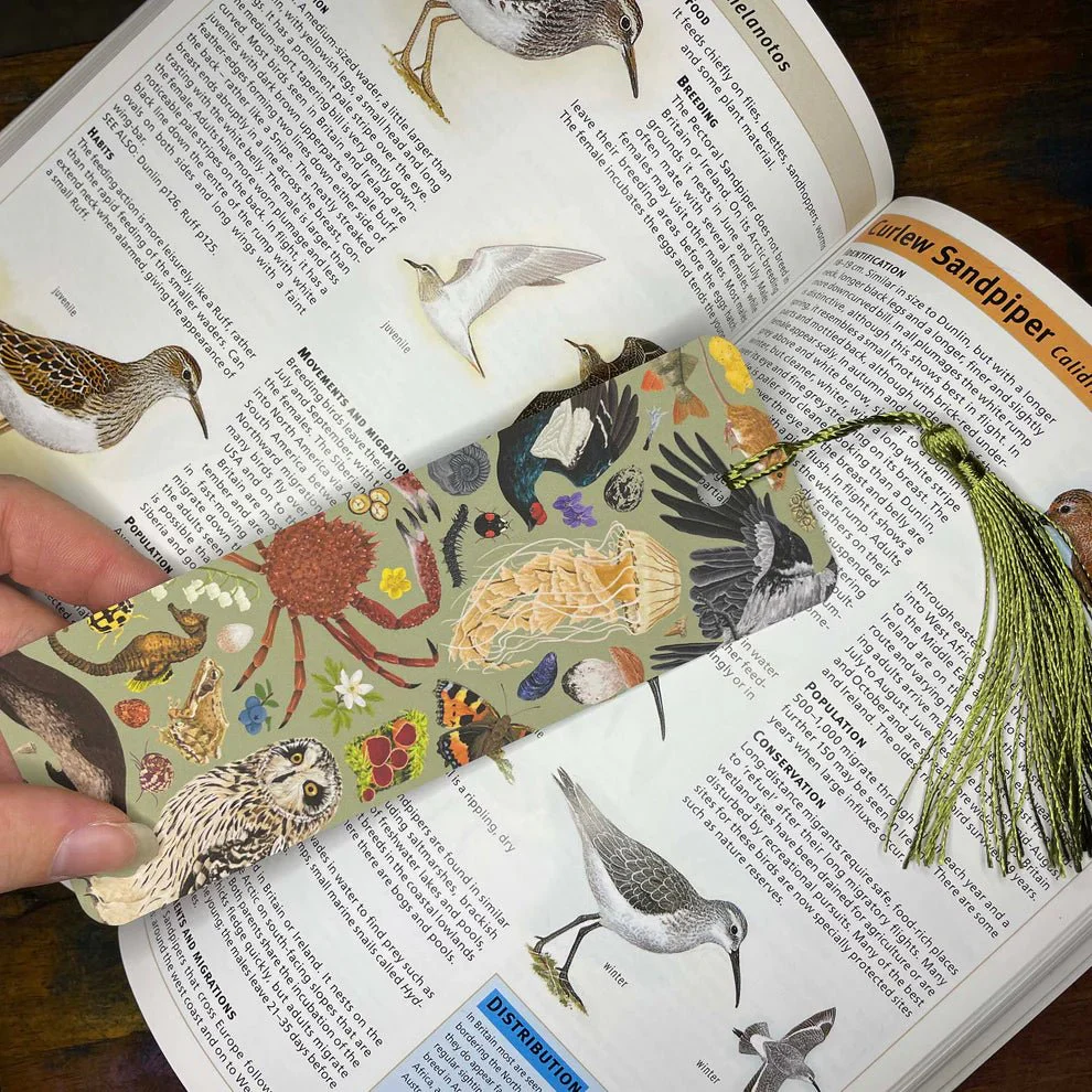 Green British Wildlife Bookmark – Illustrated by Ferne Creative - Image 5