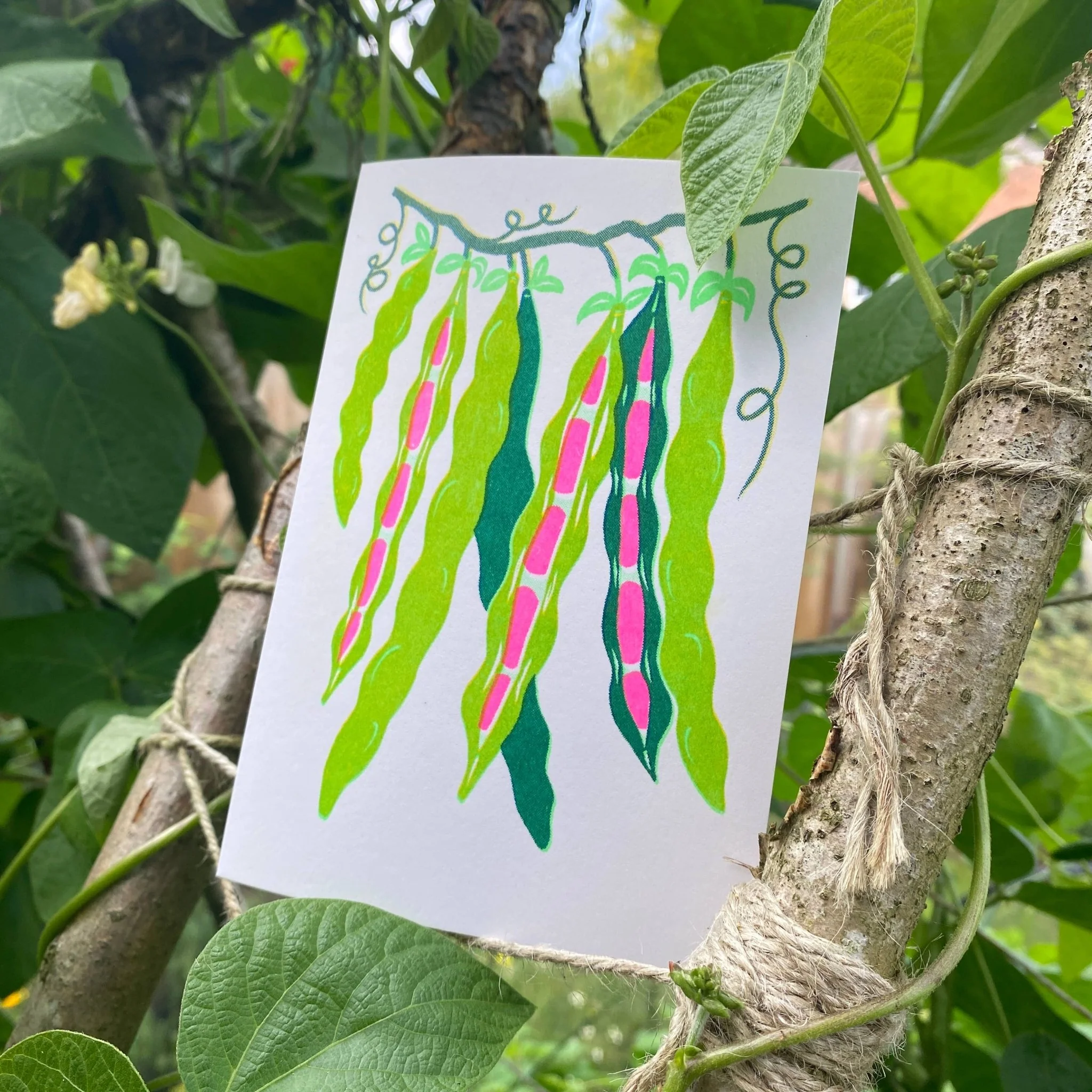 Beans Grow Greetings Card - Image 4