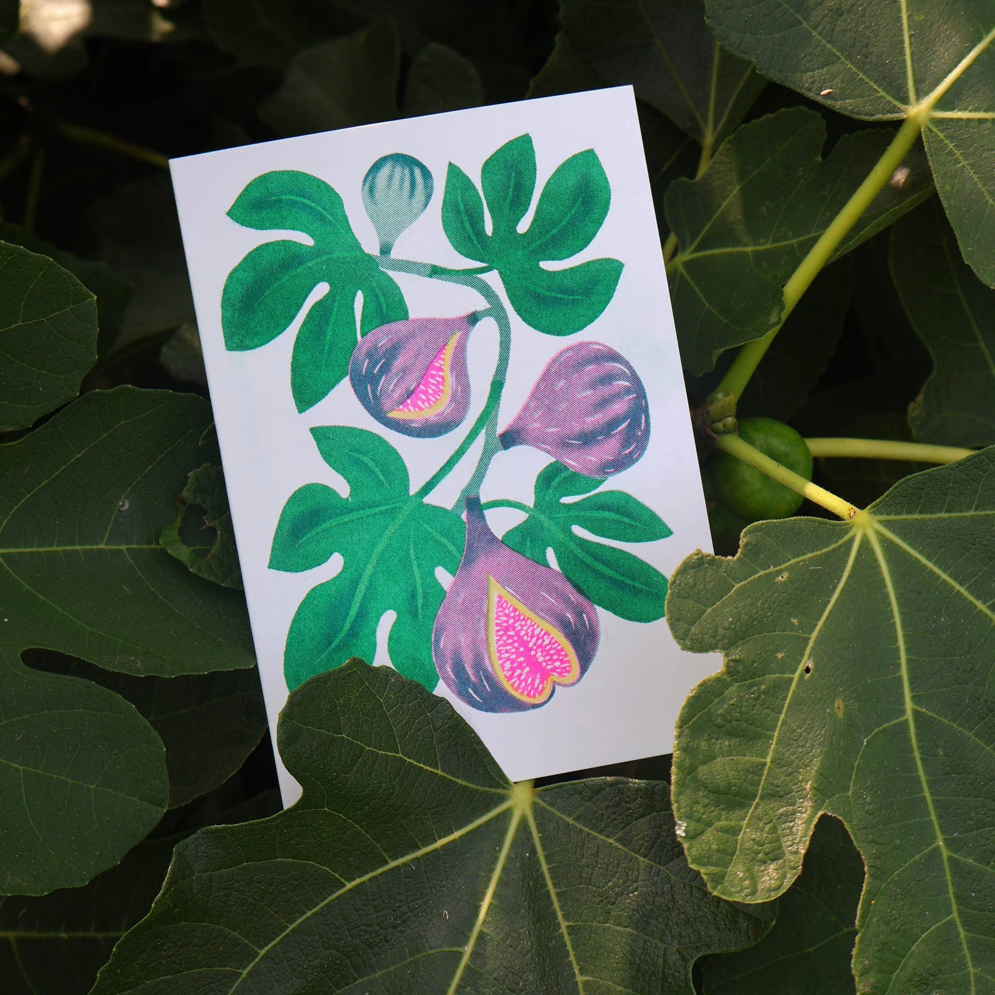 Fig Grow Greetings Card - Image 5