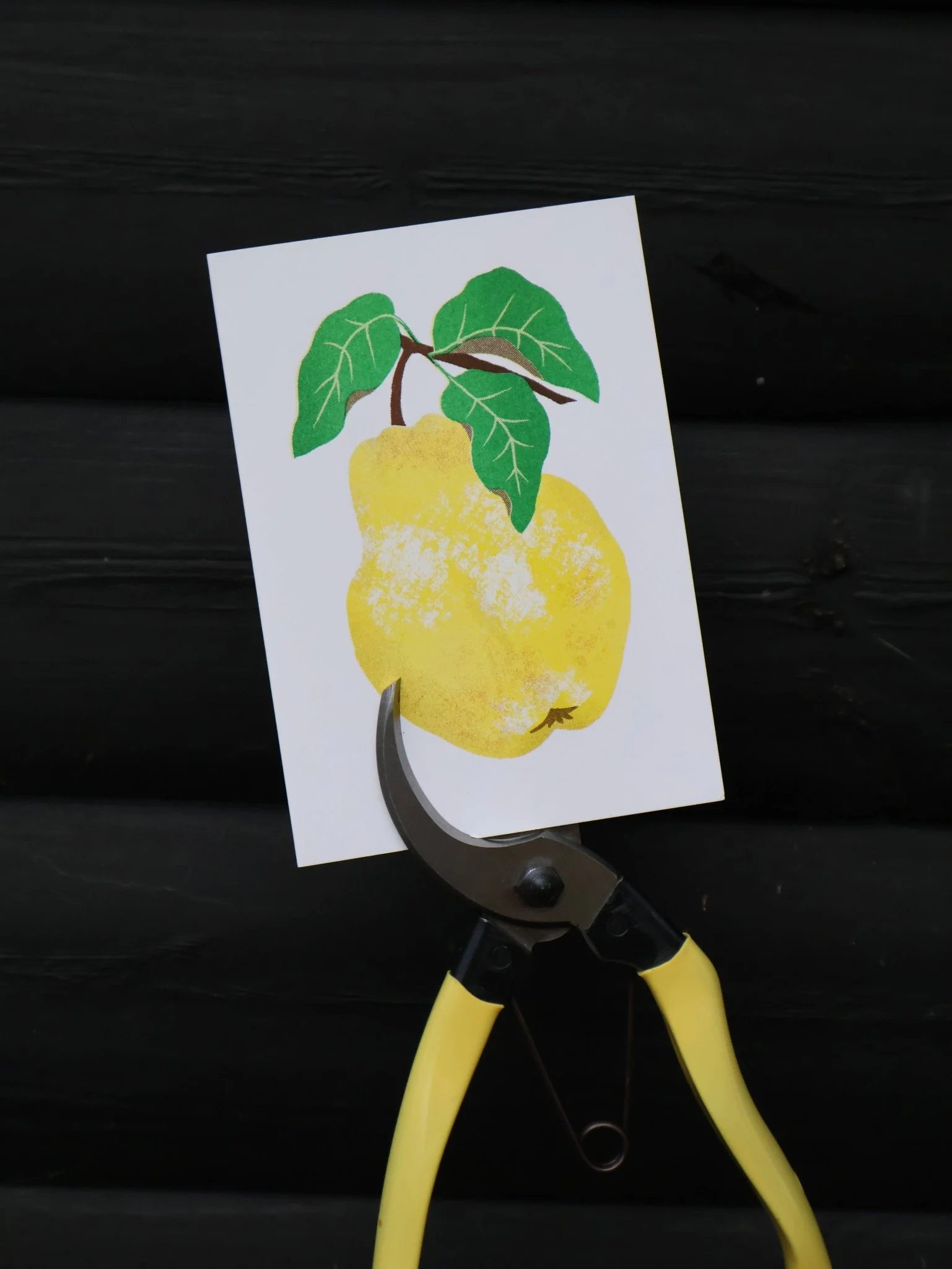 Quince Grow Greetings Card - Image 2
