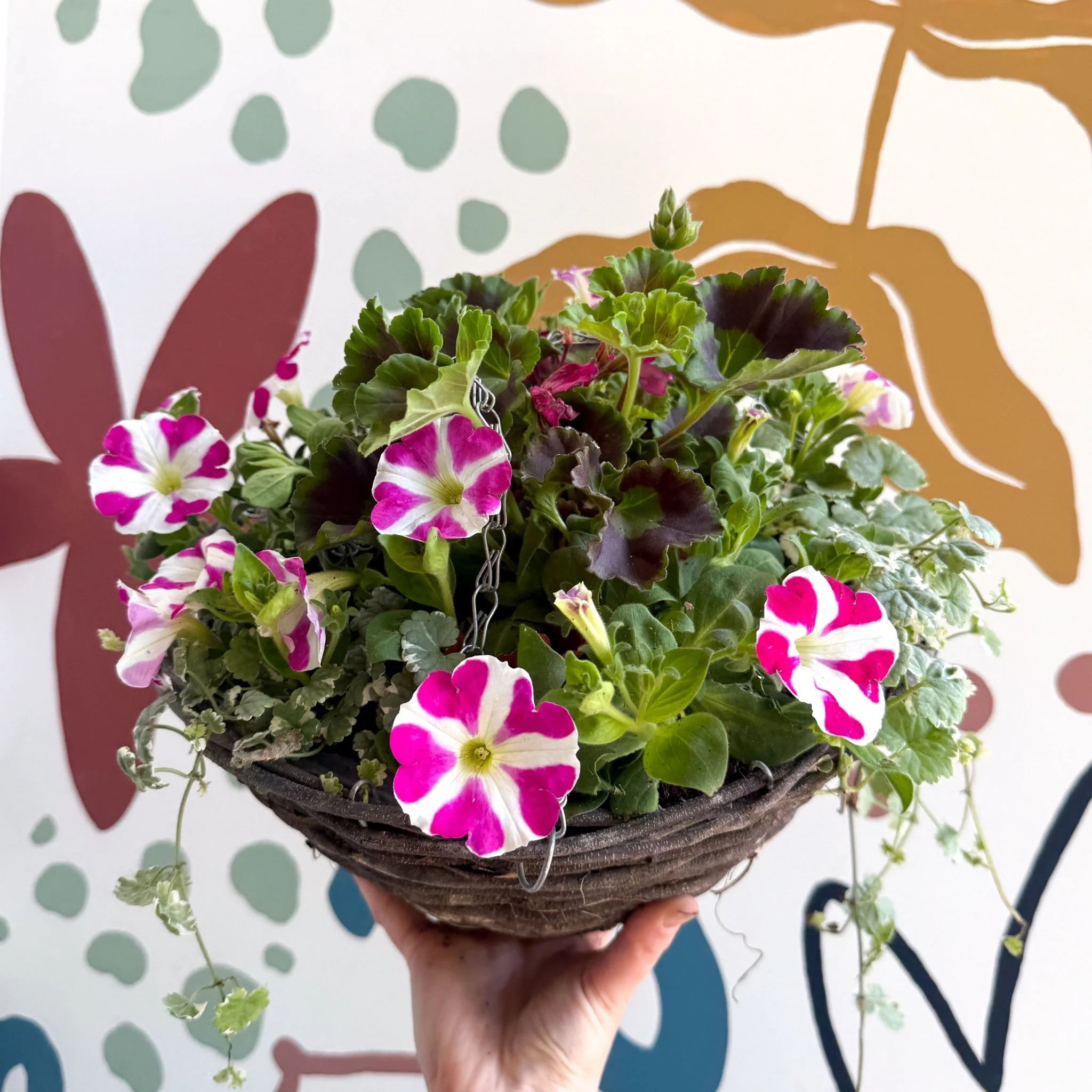 Hanging Basket - British Grown & Made [One of a Kind] - Image 2