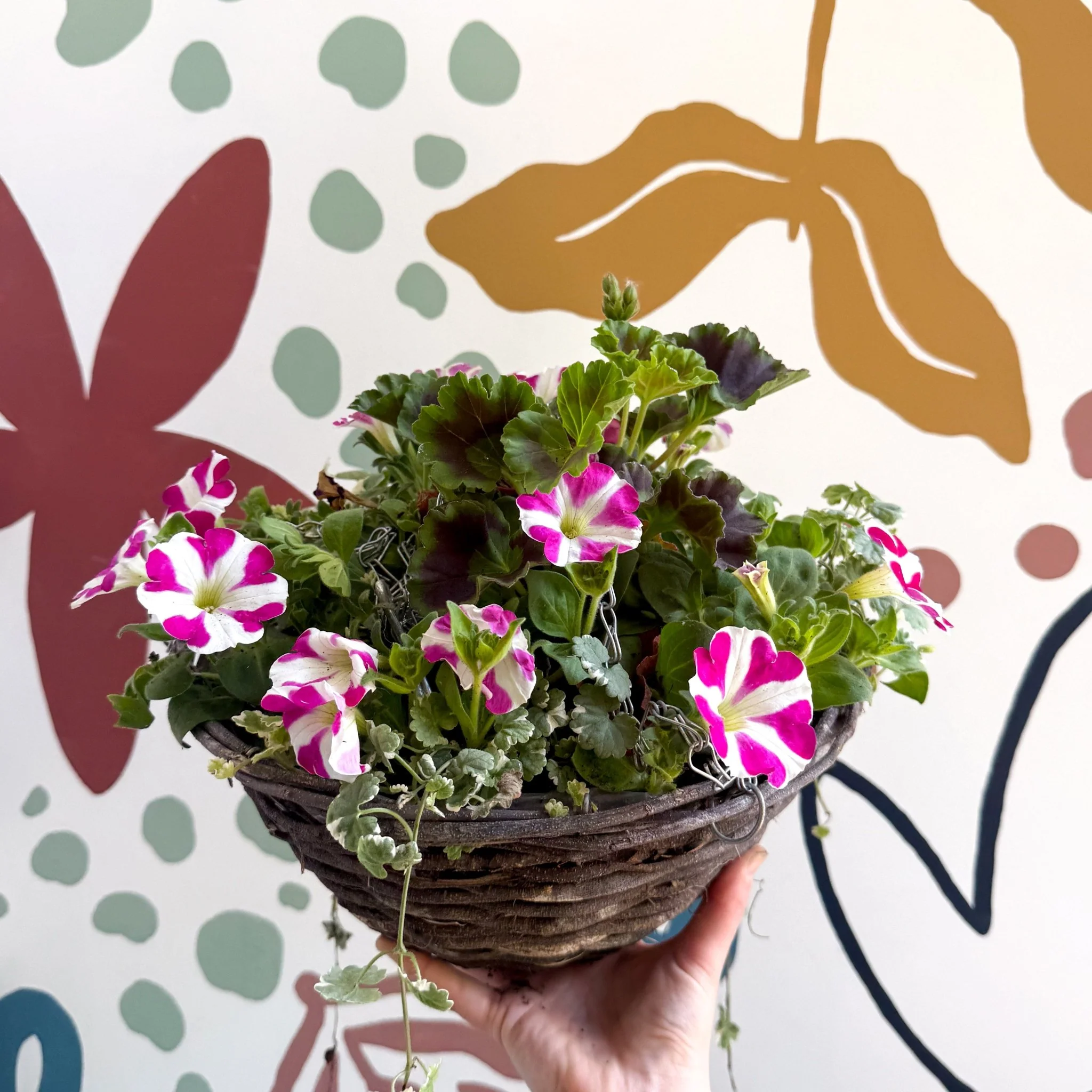 Hanging Basket - British Grown & Made [One of a Kind] - Image 9