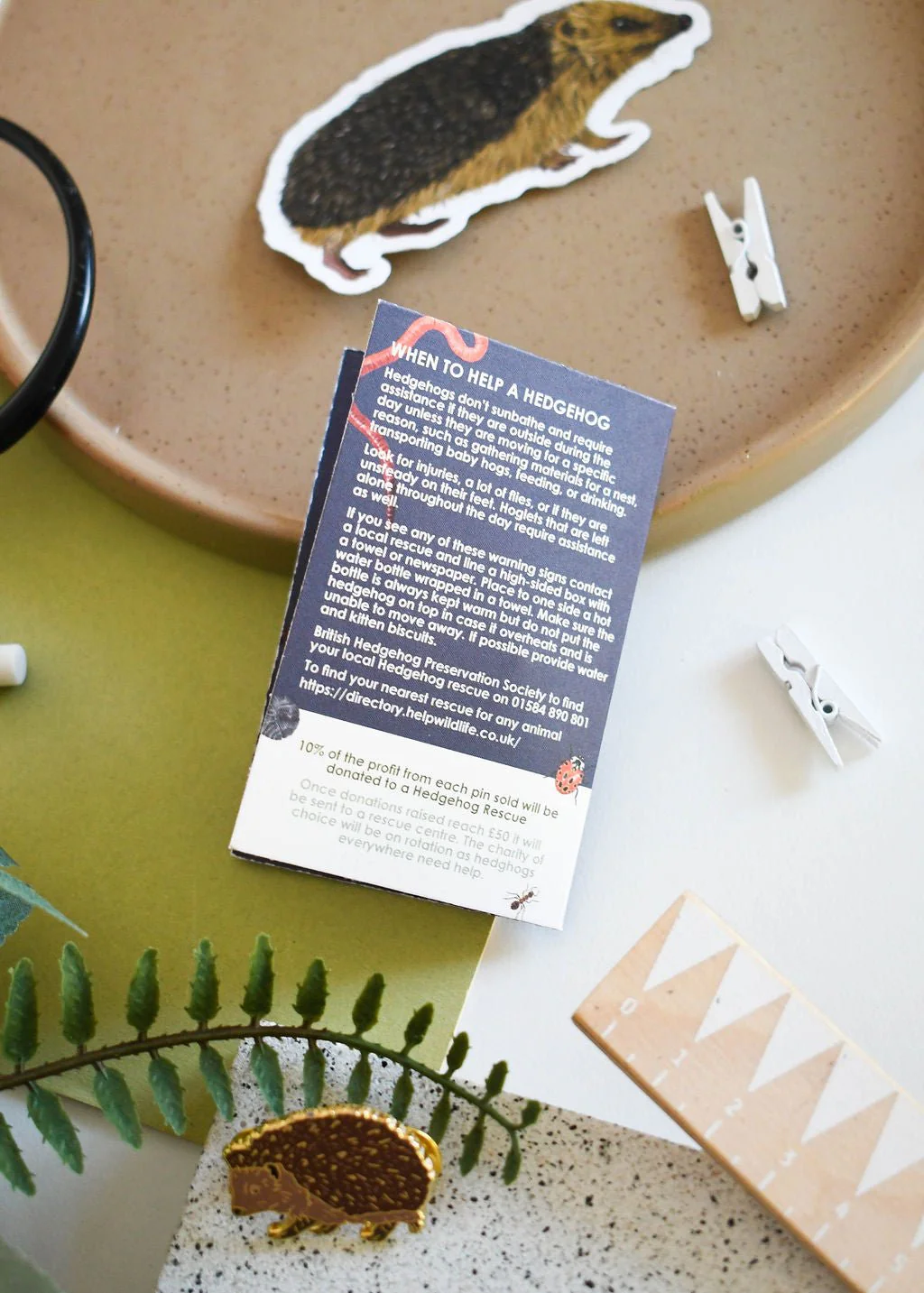 Hedgehog Enamel Pin – Designed by Ferne Creative - Image 4